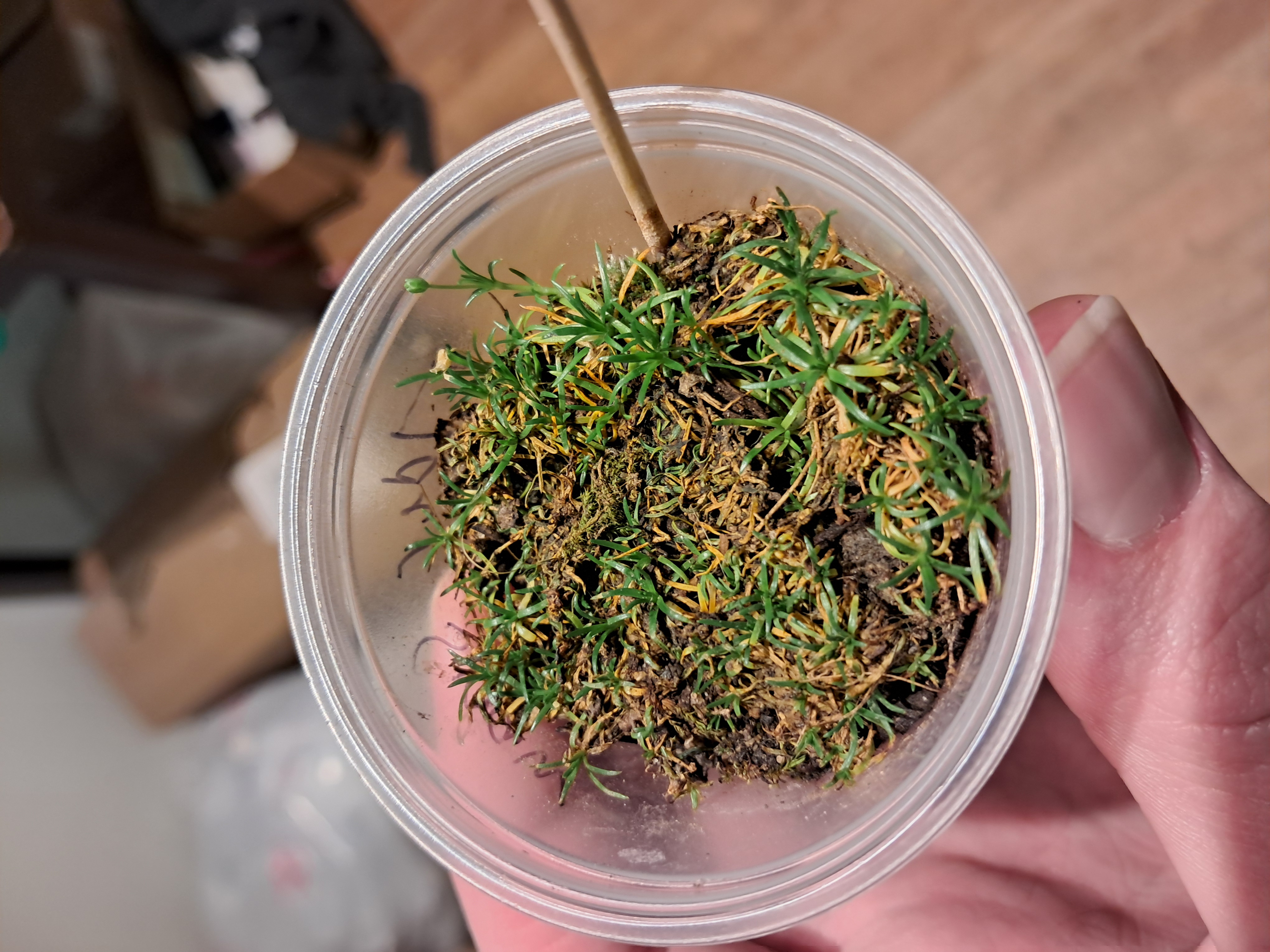 Oliver when I got to California.