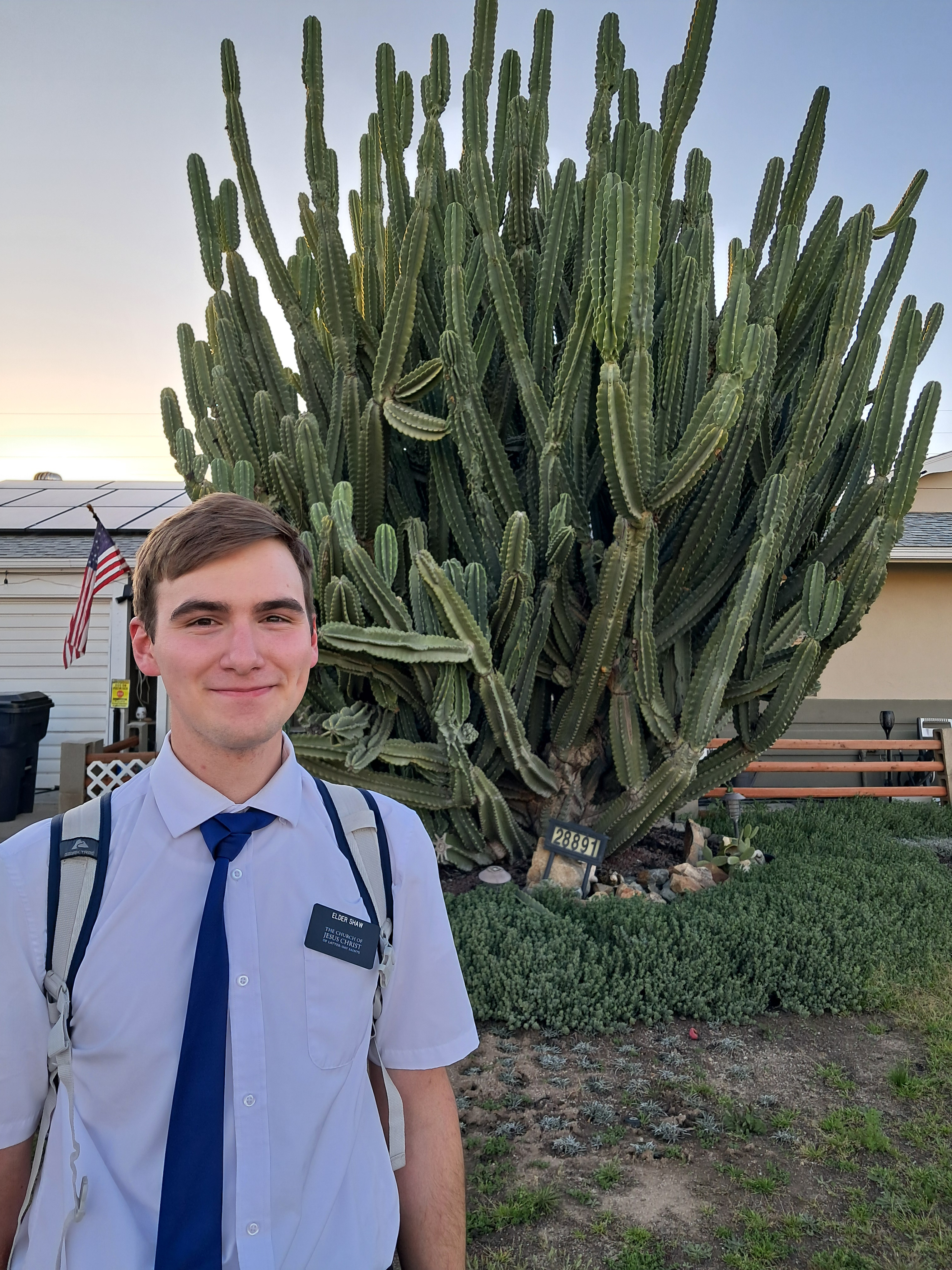 Wednesday - This is the Cactus bush / tree (At least 16 feet tall)