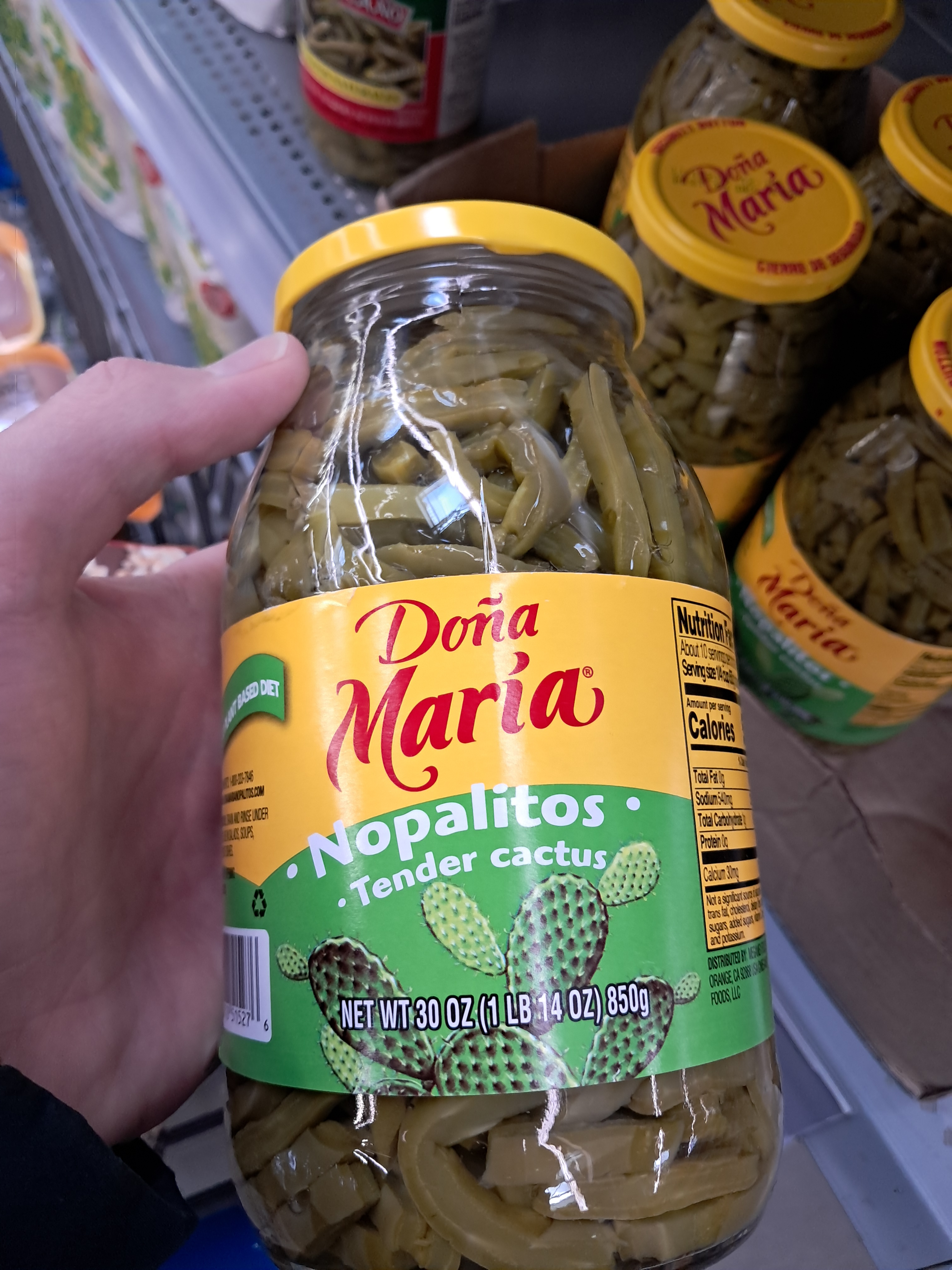 Monday. I learned that pickled cactus is a thing you can buy at the store!