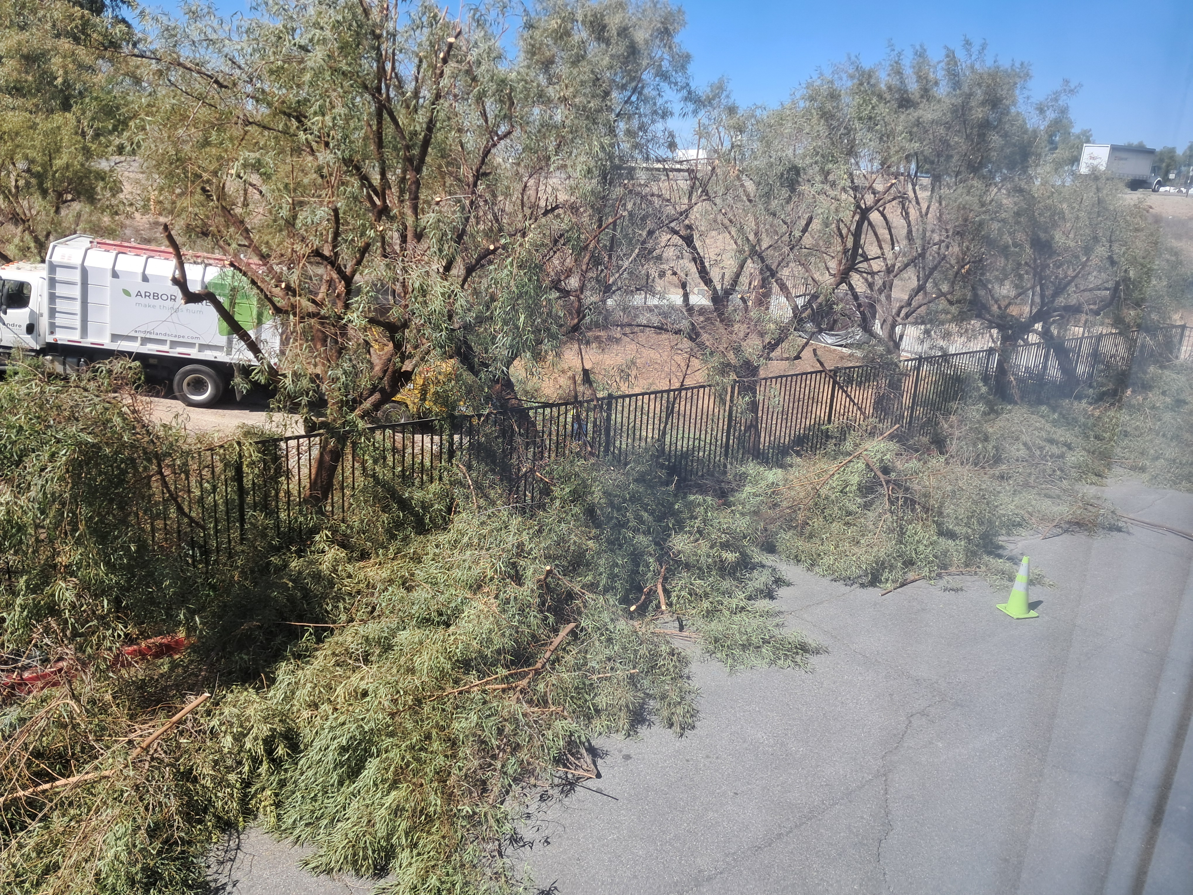 They took off most of the tree outside our apartment 😥