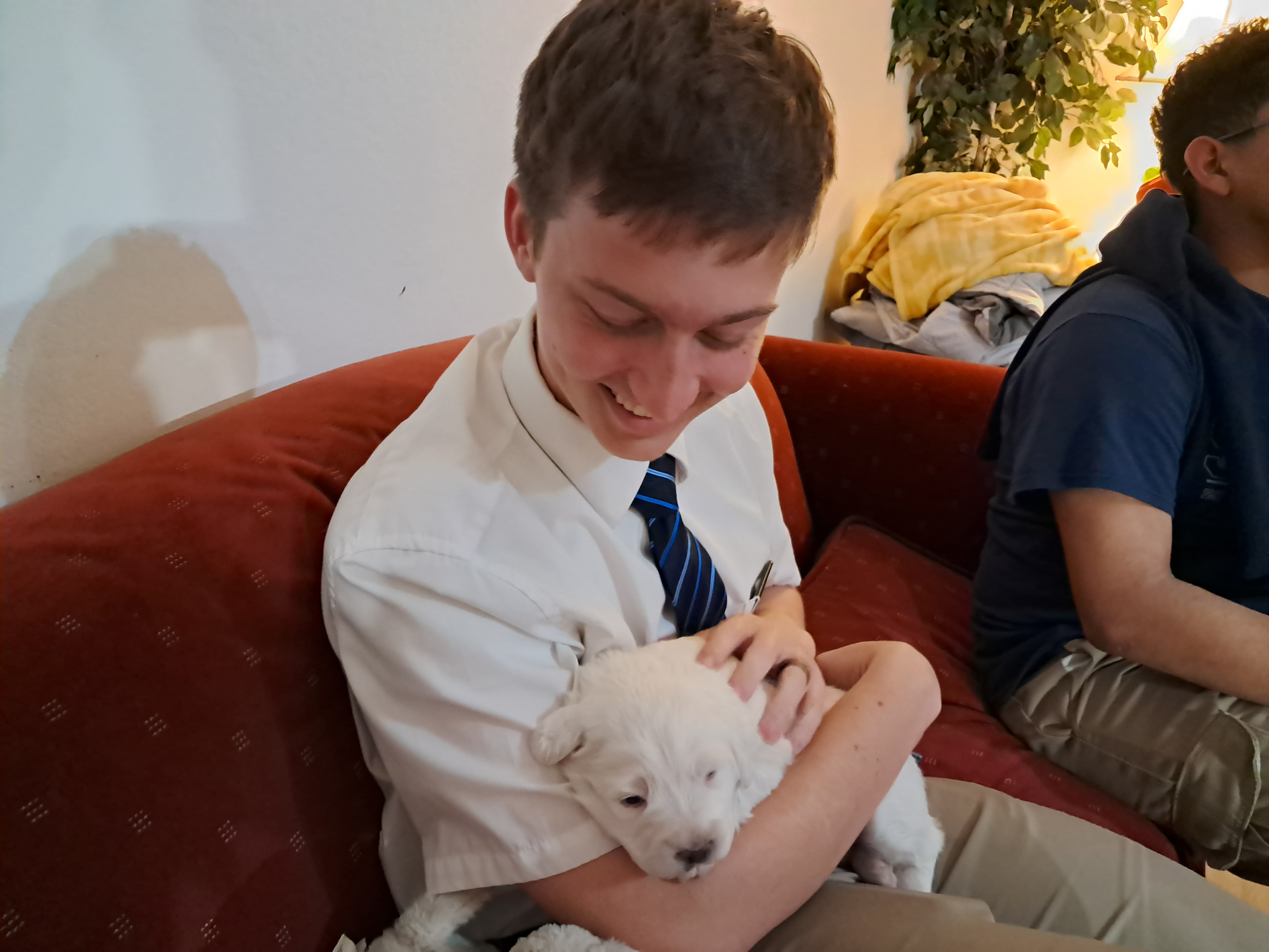 We stopped by a member's house after dinner and the other Elders got to hold their
puppies!