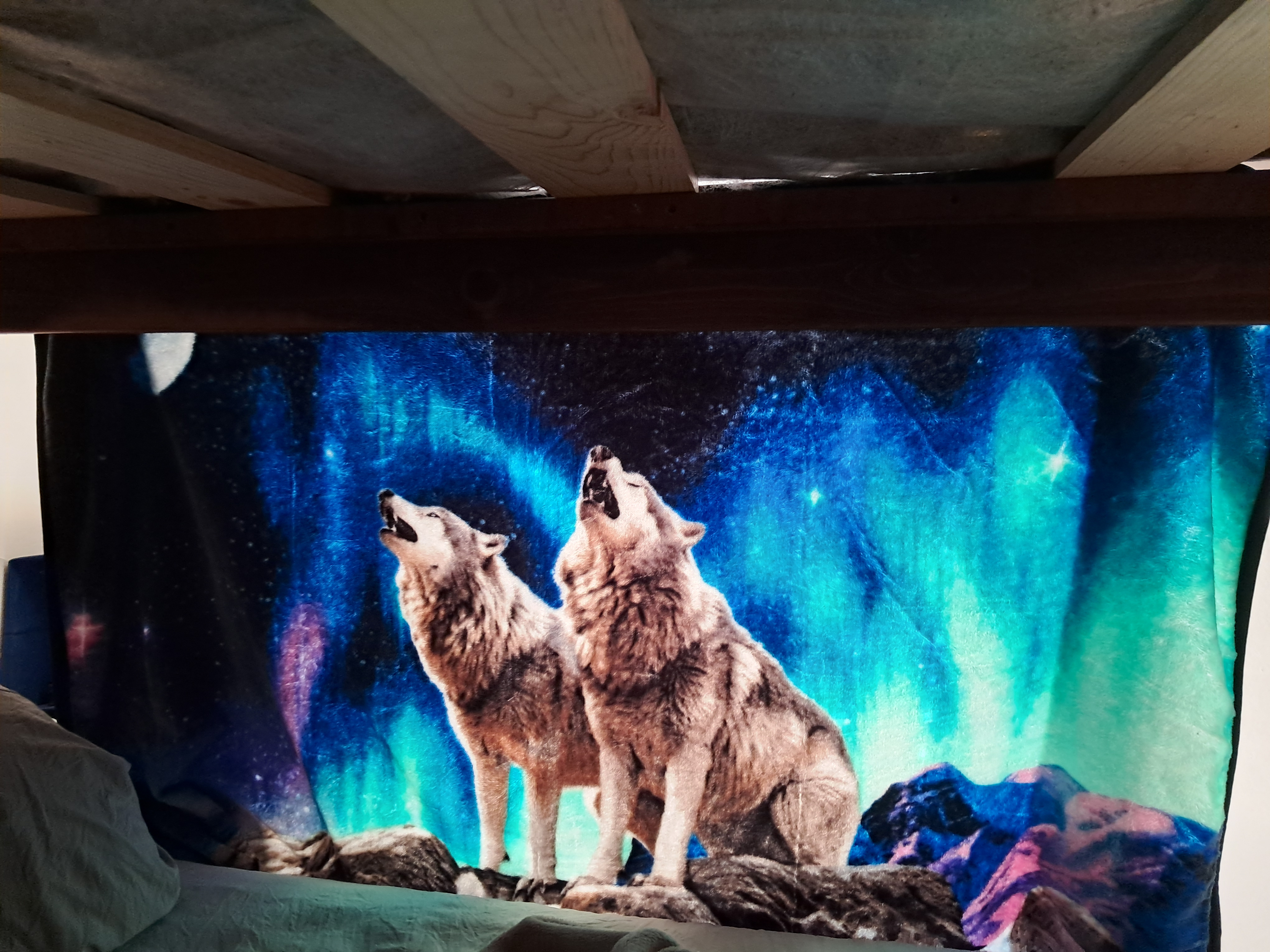 My wolf blanket I am using as a sheet glows in the morning sunlight! (I thought it was pretty cool how it looked. It looks like a TV screen)