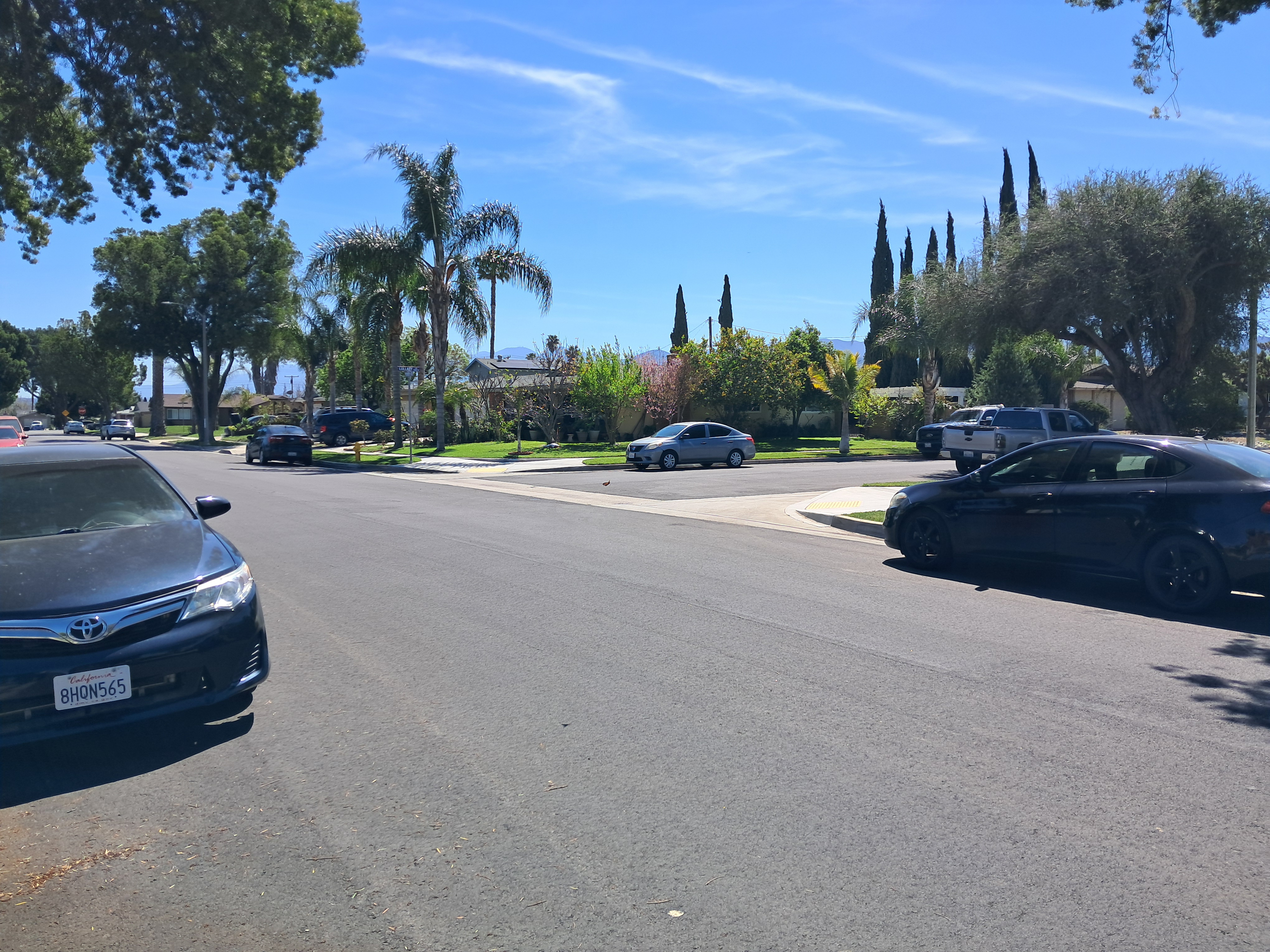 Try to spot the monarch butterfly!