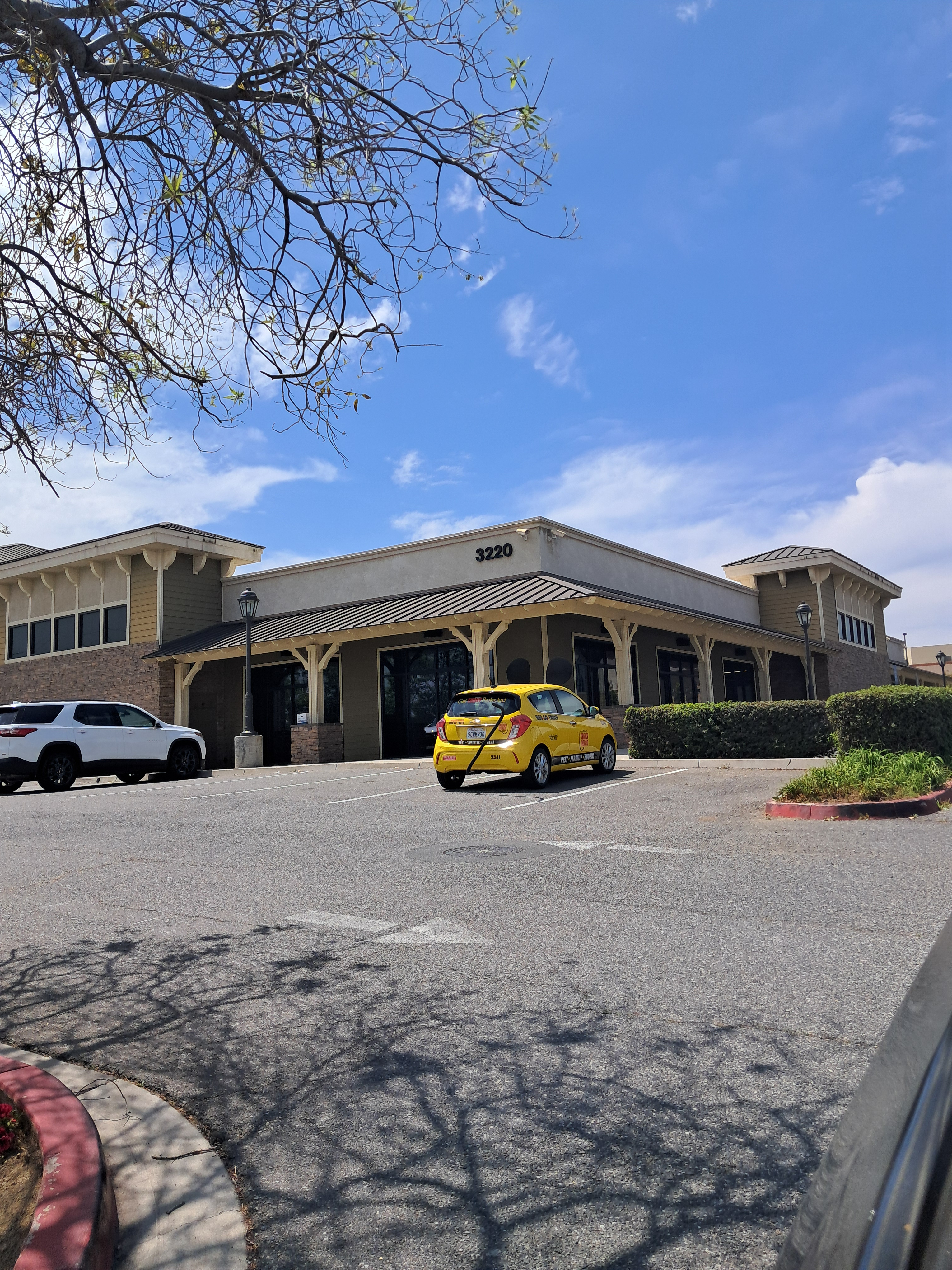 Pest control car we saw.