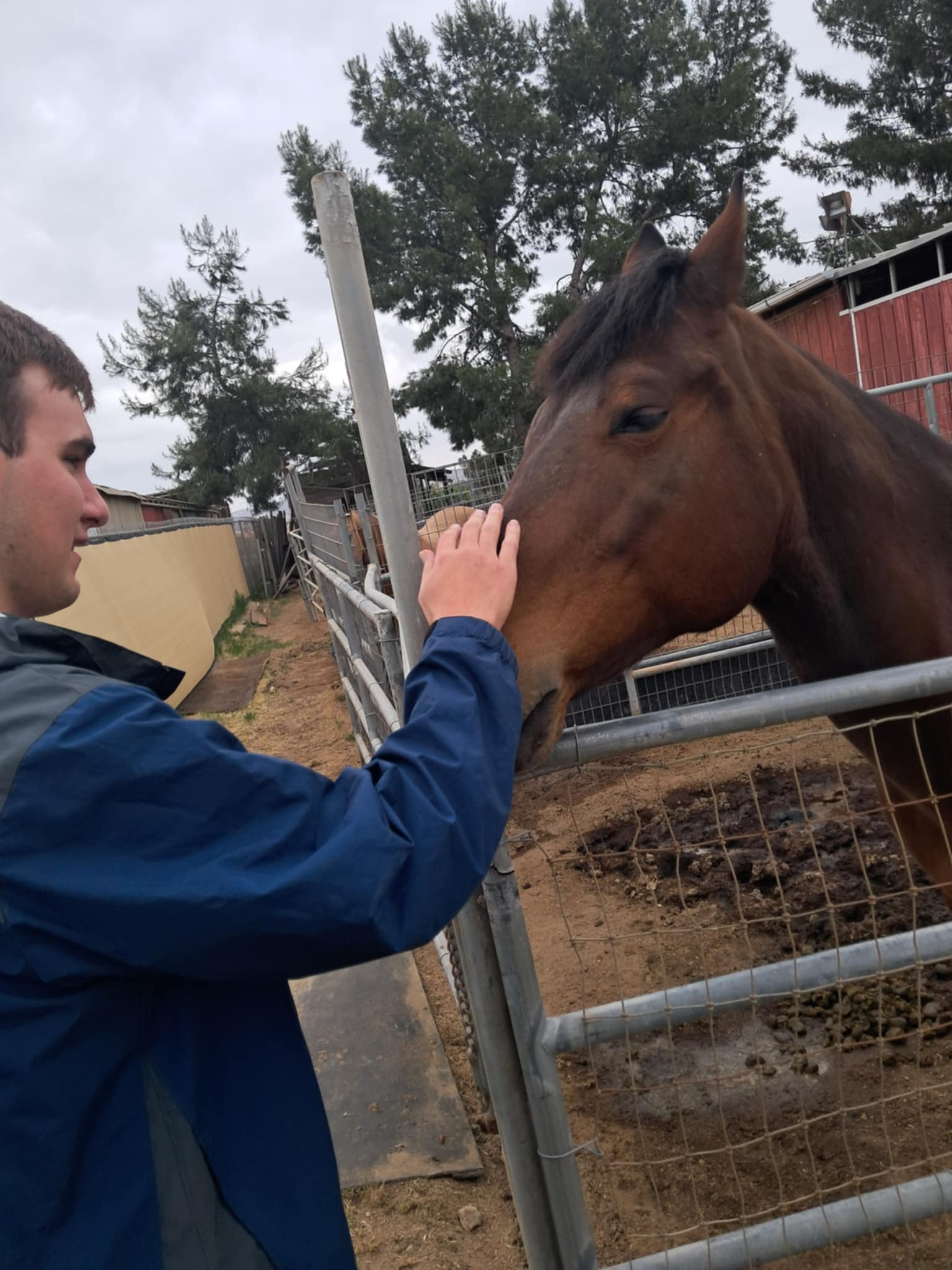 Belle loves scratching under her chin.
This is at the Minton's house