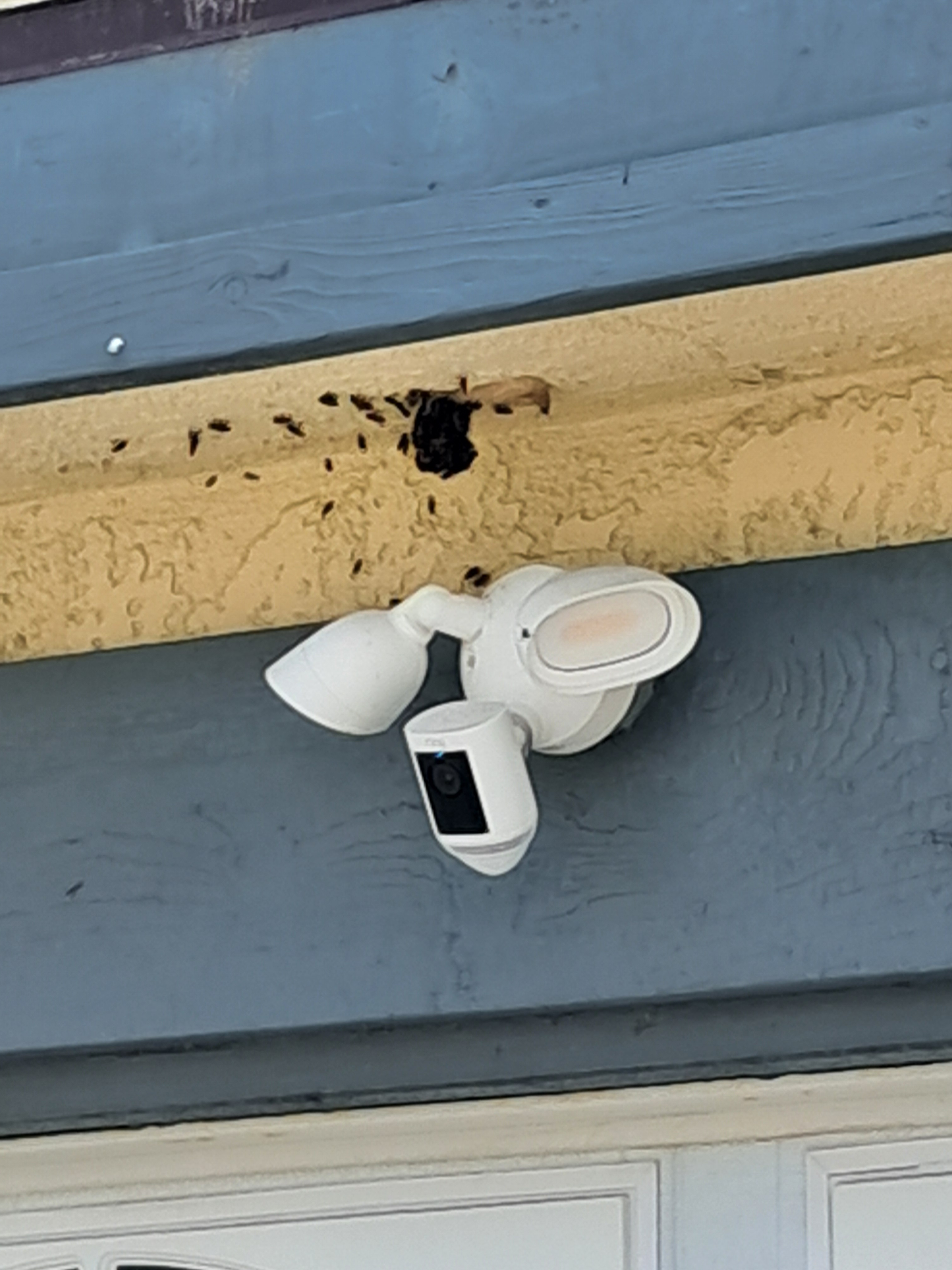 The start of a bee swarm! It is above the poor person's garage! (I guess the bees couldn't find a better place?)