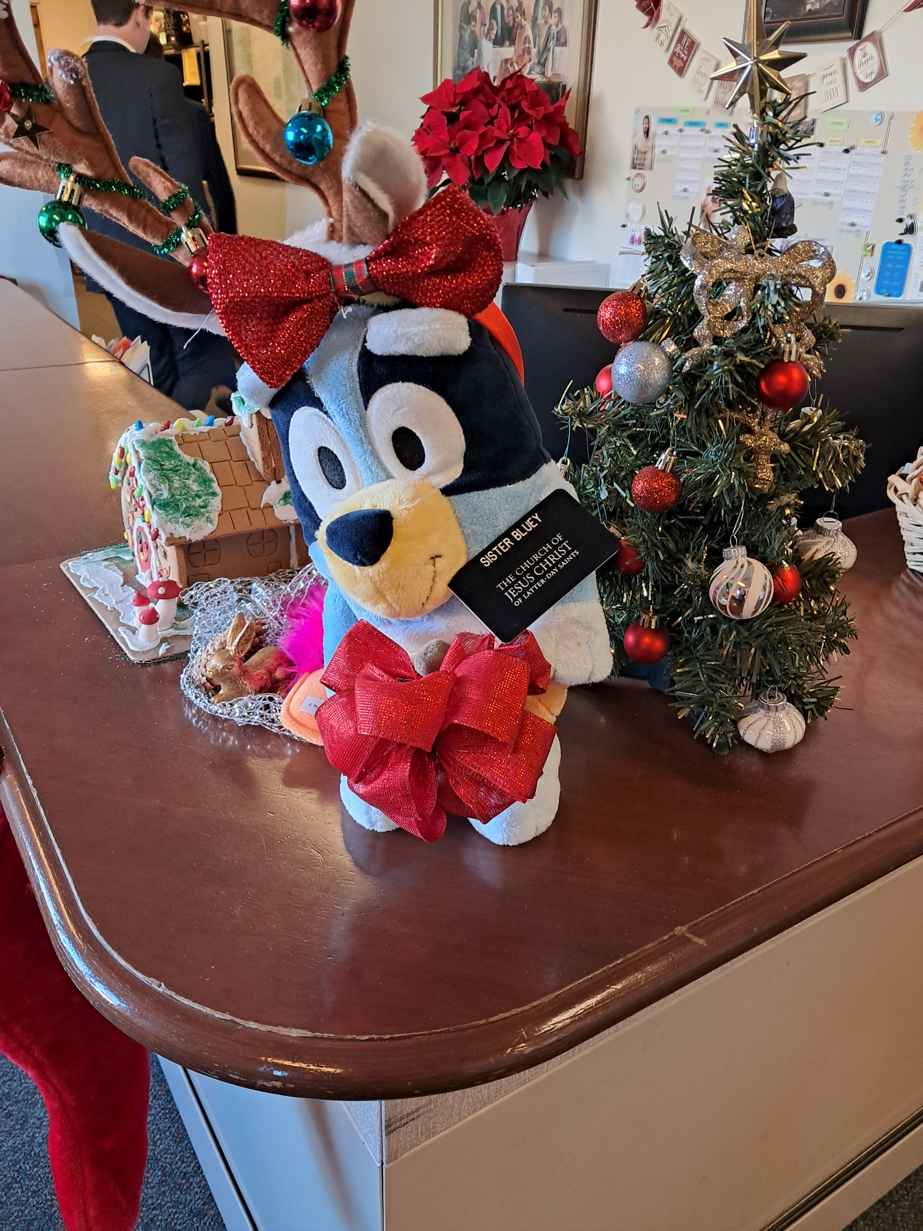 A familiar face to greet me on my first day at the Mission Office