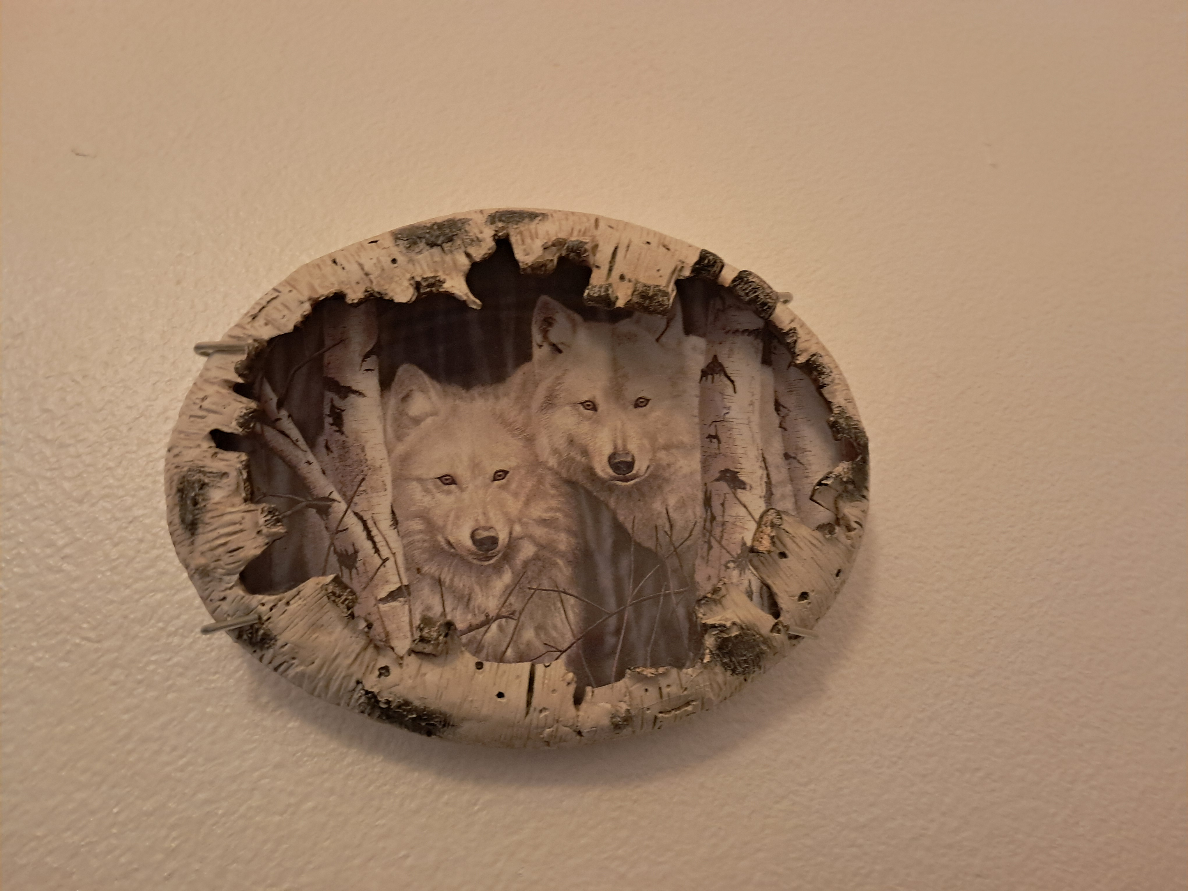 This is a really cool aspen tree painting. I think she said the frame was made of actual aspen wood.