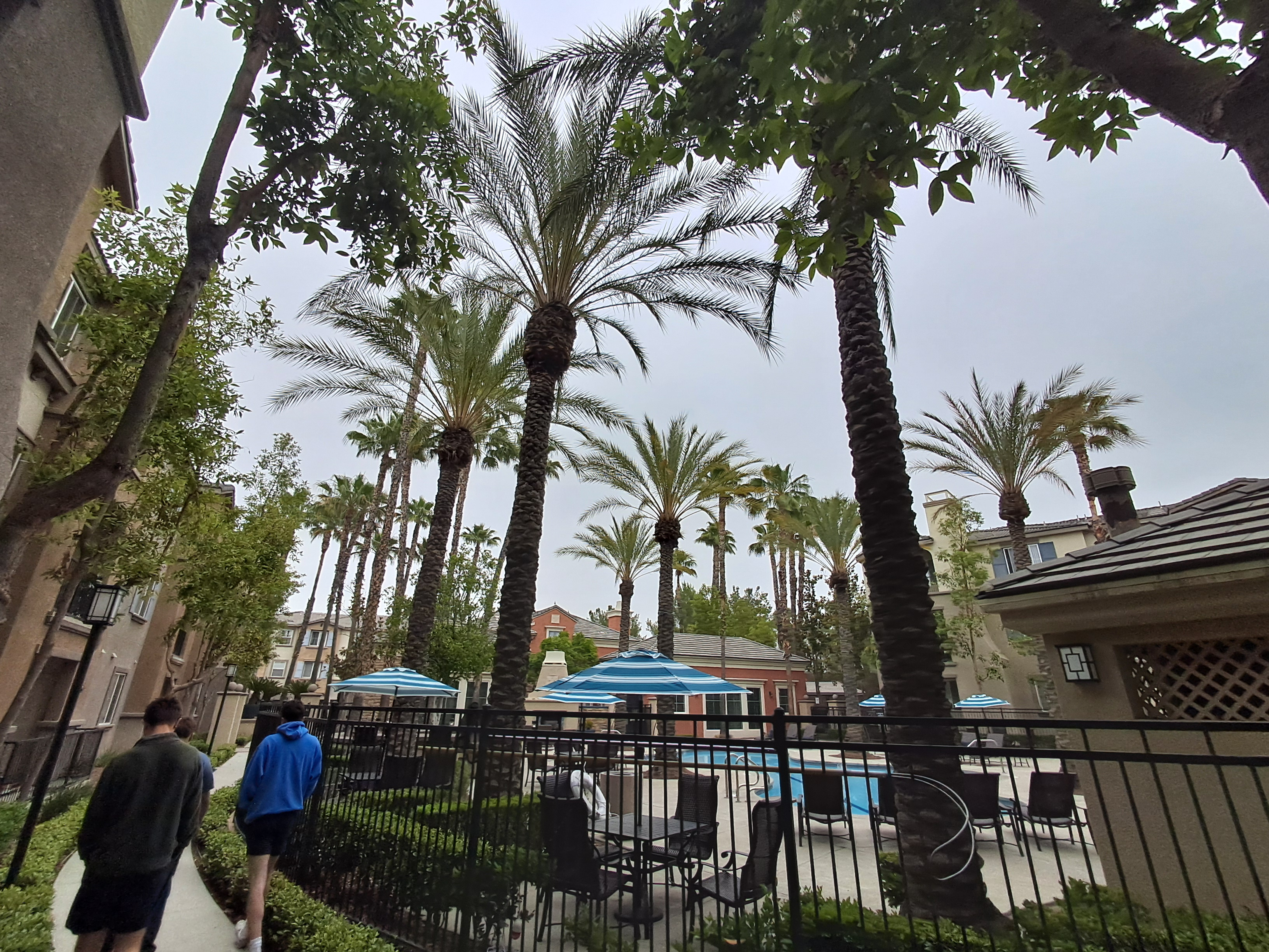 This is the Spanish elders' and the sisters' apartment complex. It is a very nice complex