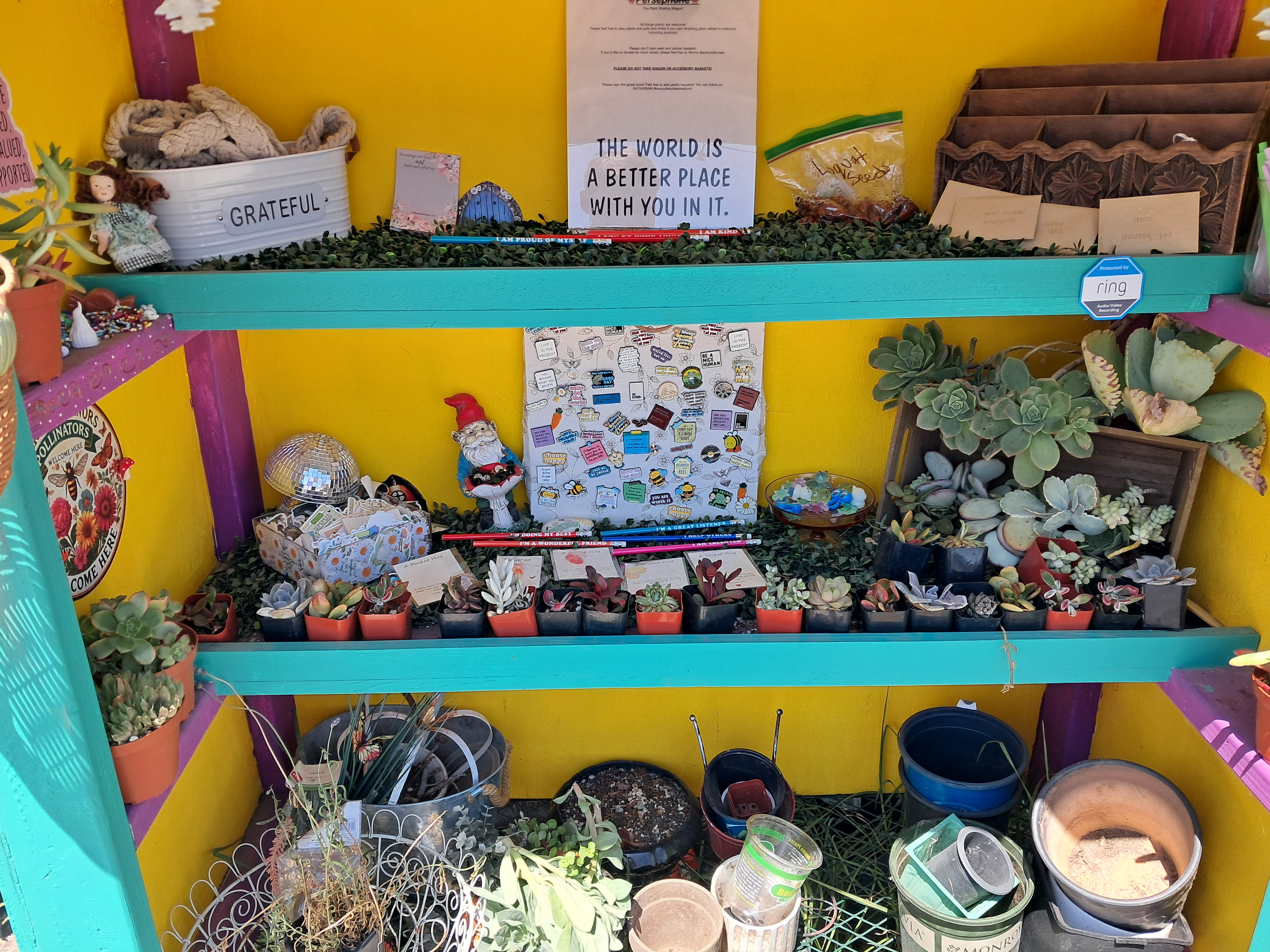 Do you remember the bountiful harvest stands from home? I found someone who did something similar but instead of just food they have multiple items to choose from! I got a new plant from there!