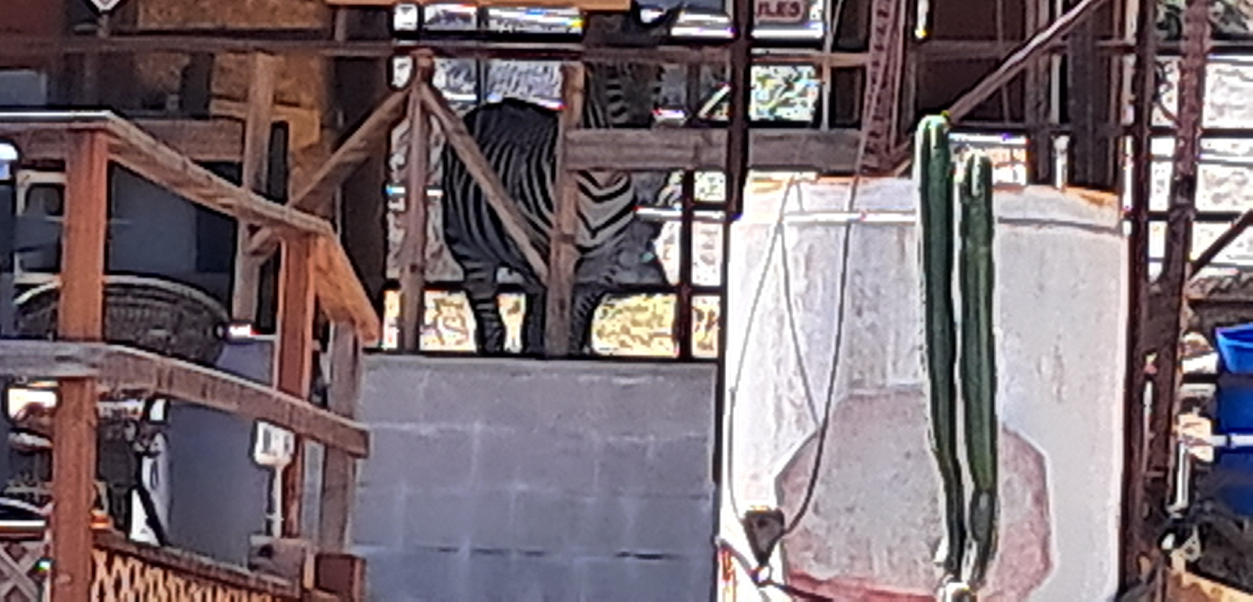 I almost forgot!!! Someone on the hills of the Ortega mountains has an actual Zebra!!! Really cool!