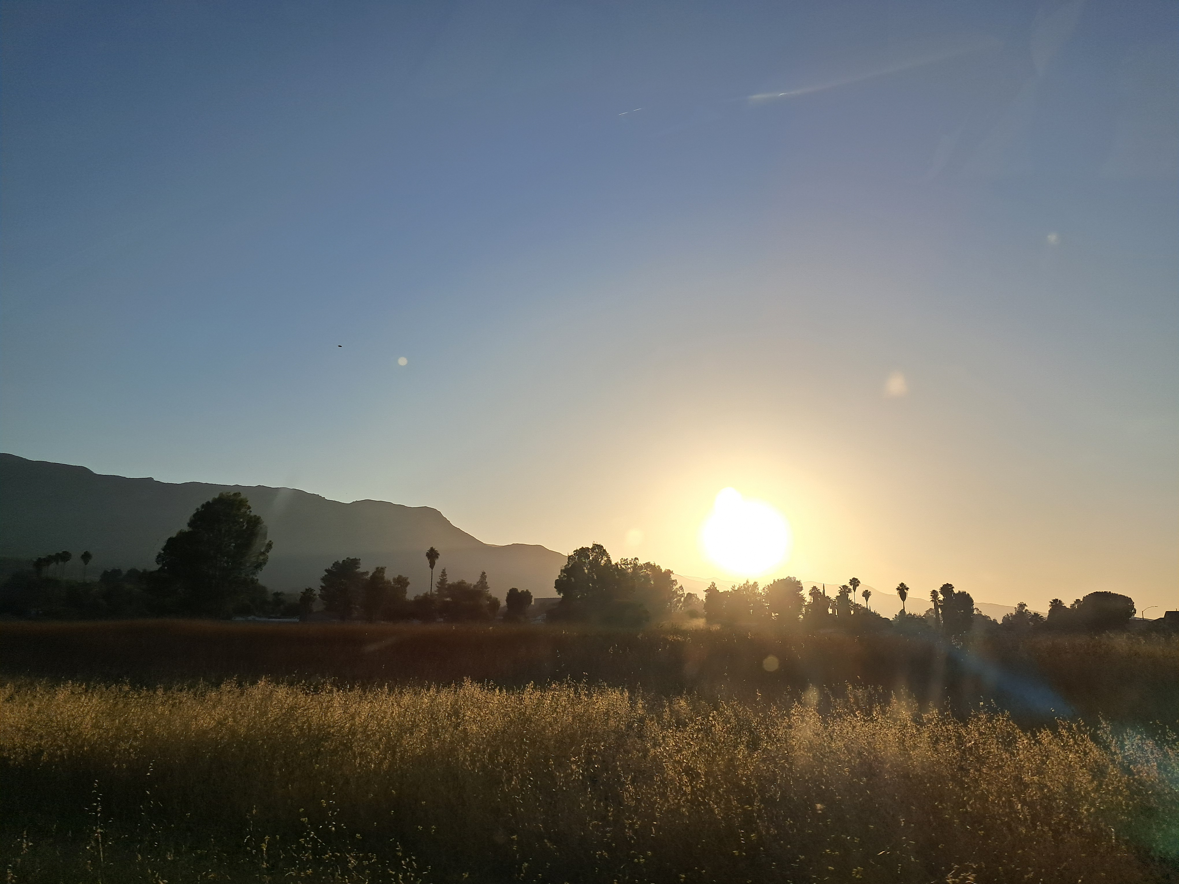 Driving past a field.