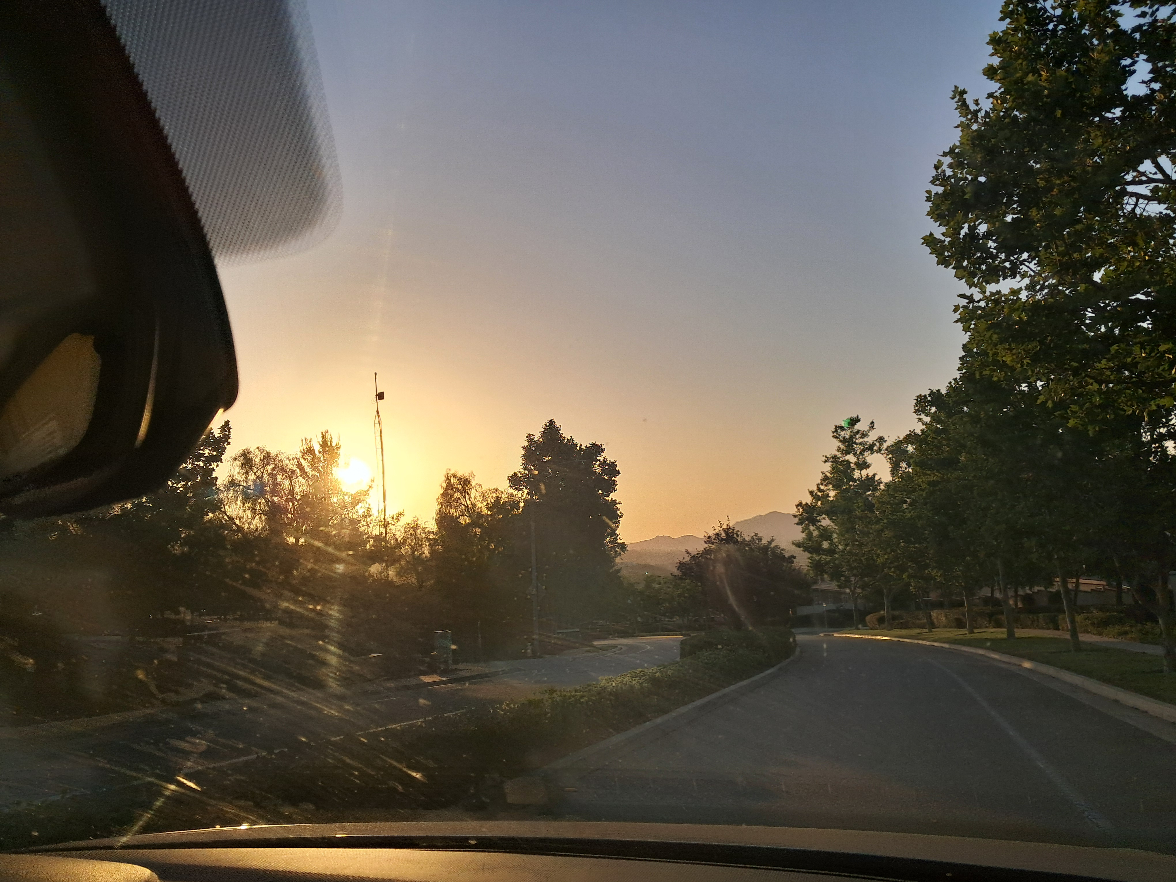 And now the Elders know why I take so many pictures.