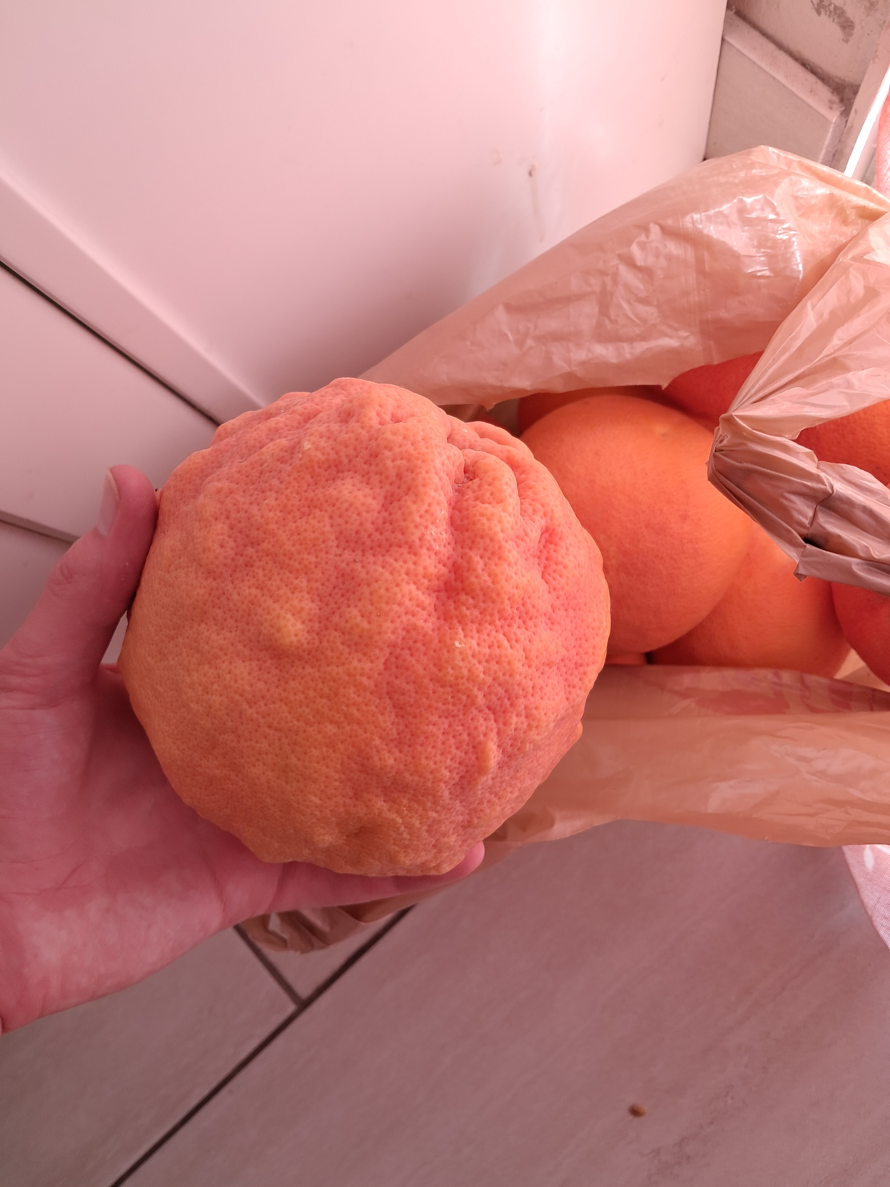 A member was given these grapefruit and they are ginormous!!!