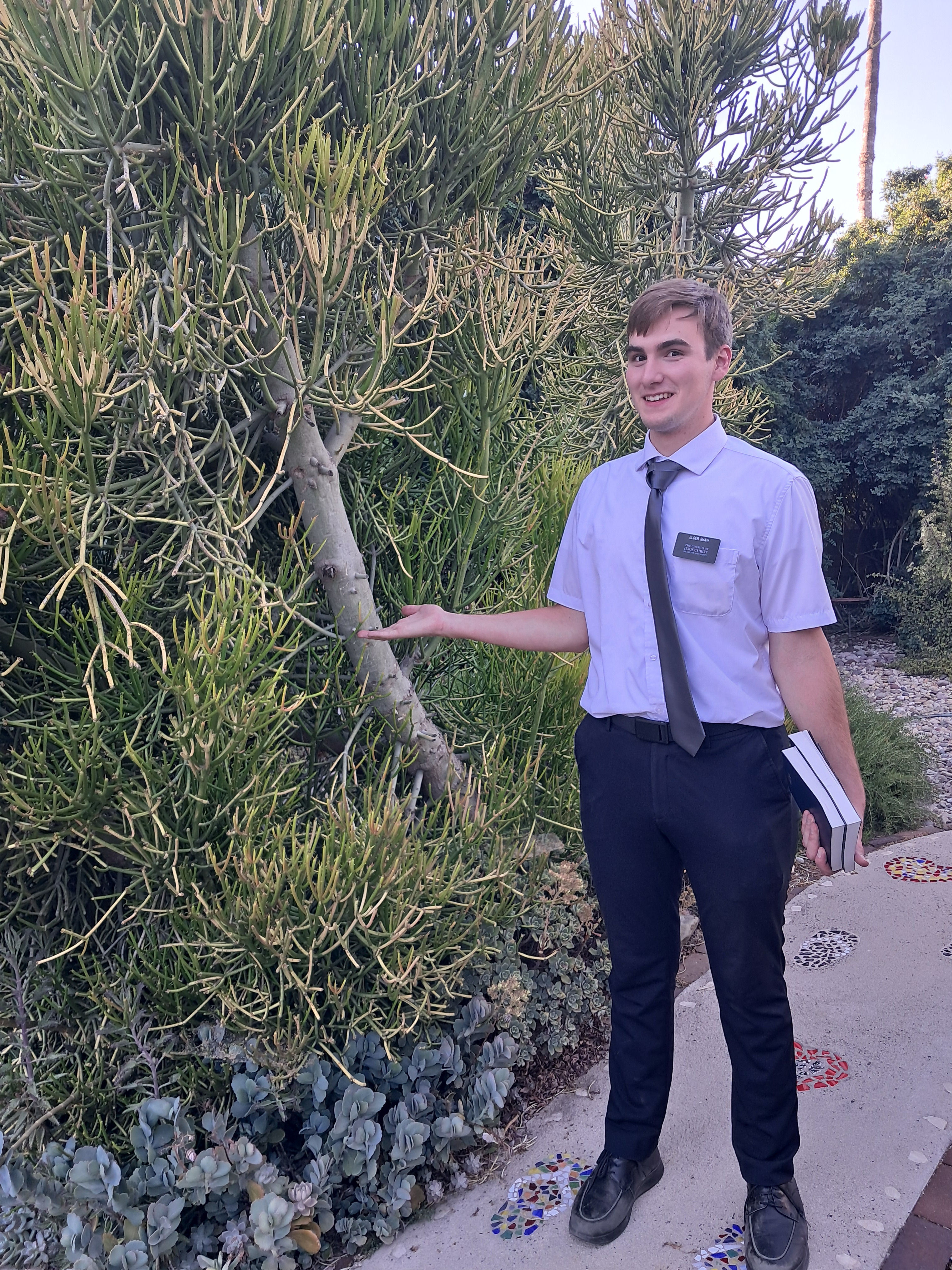 I have mentioned before that one of the biggest things that struck me about California was the fact that succulent plants are not used as houseplants but... They are literally BUSHES! This one is probably about 10 feet tall.