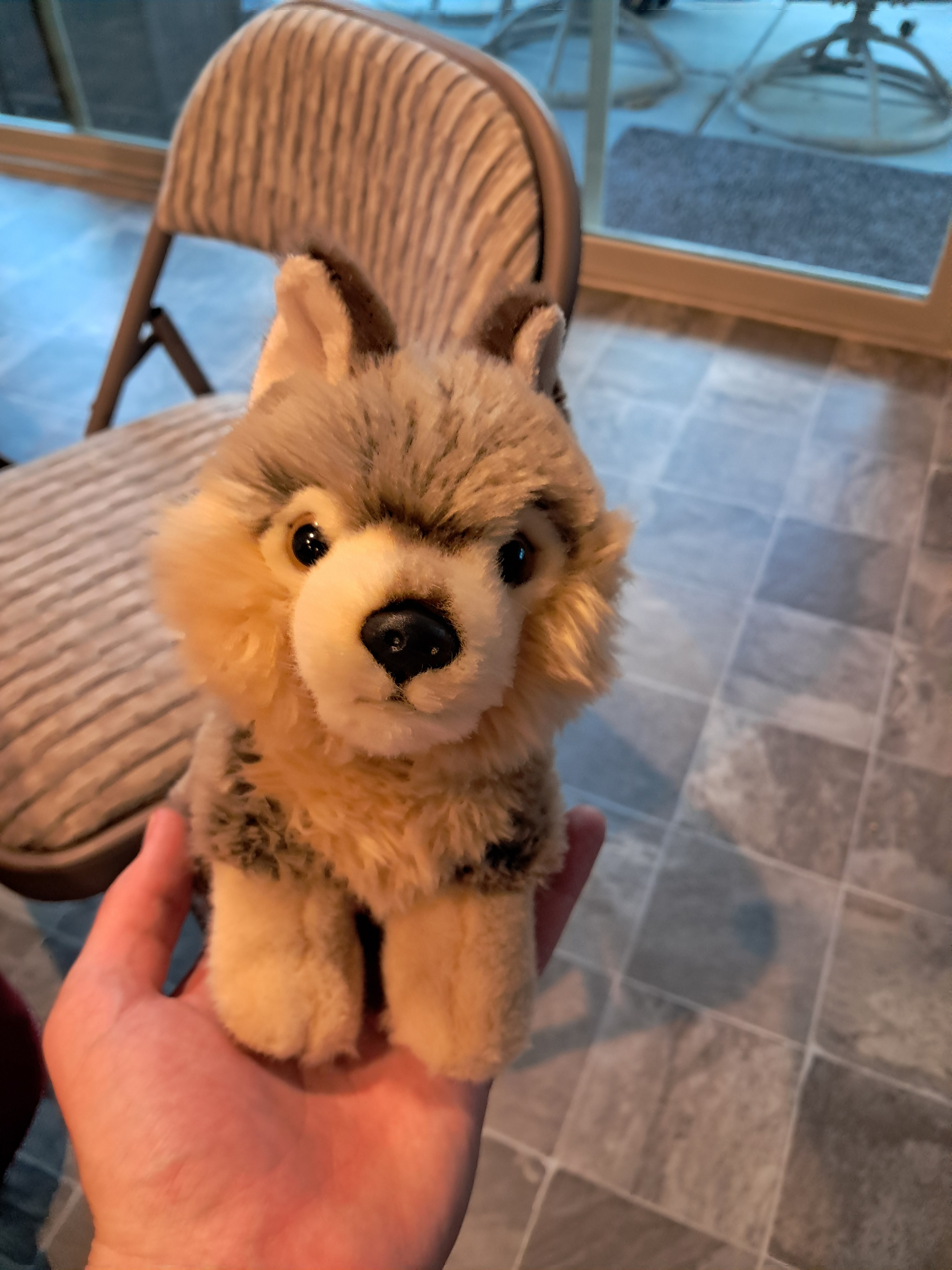 This is a member's son's stuffed wolf. We had dinner with them on the fourth.