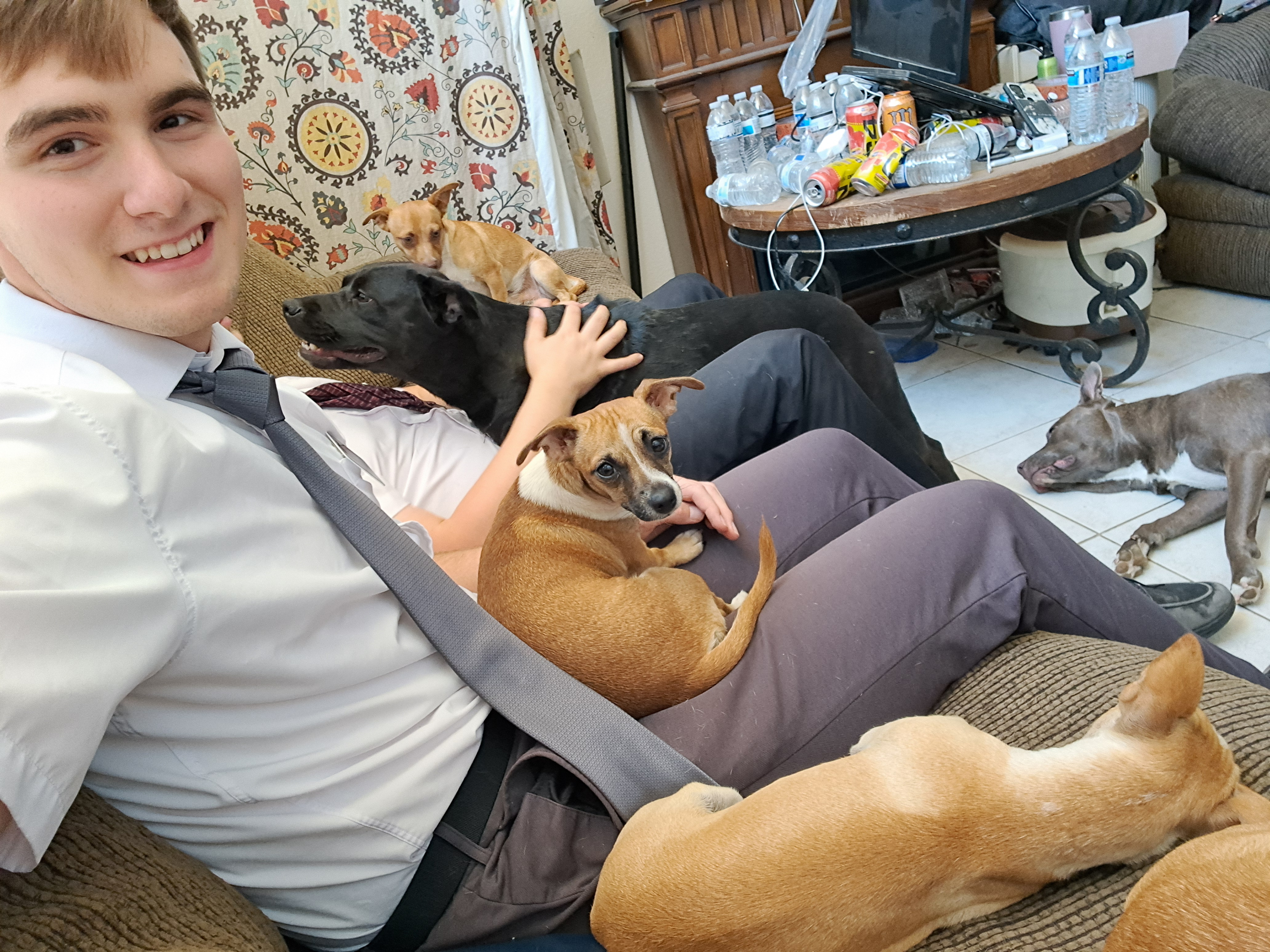 We are in a lesson and their dogs love us so much! The big ones are a little wild but the smaller ones are just fine. It was very cute.