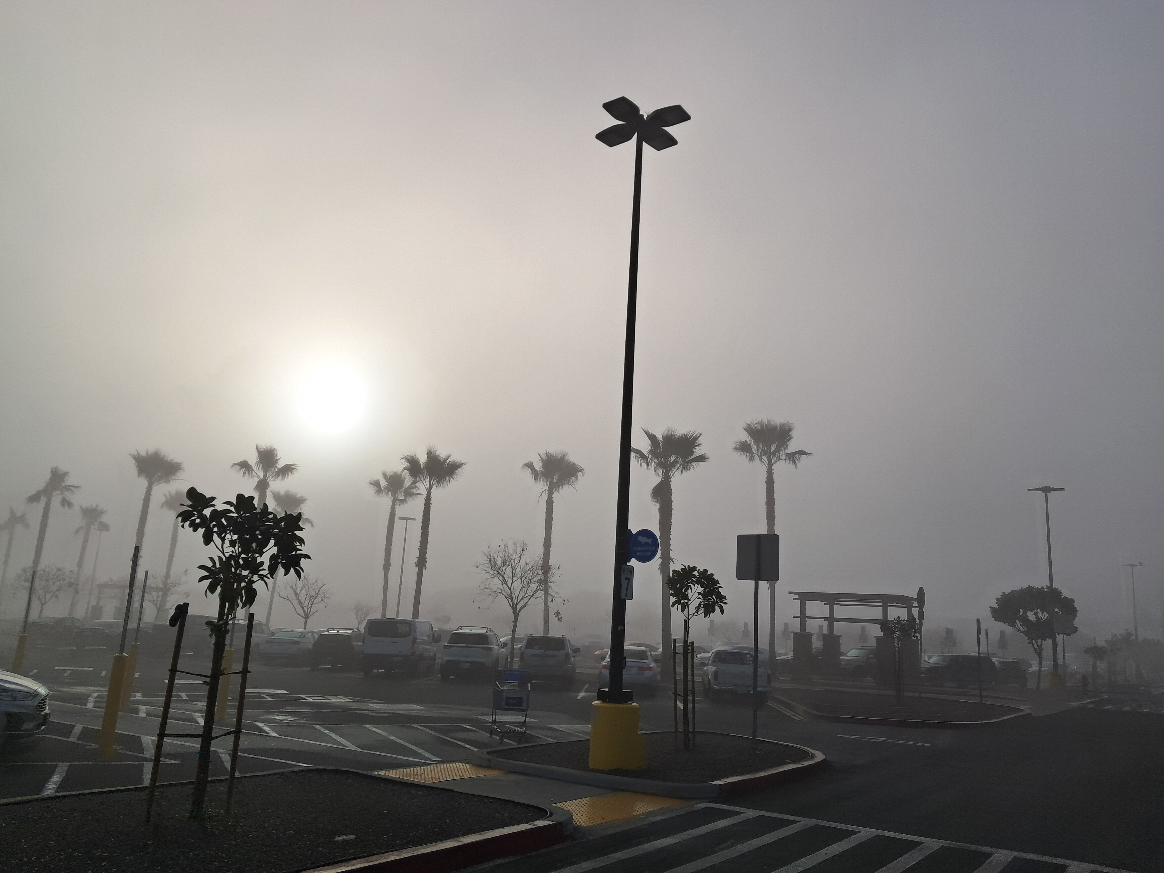 Fog at the store parking lot.