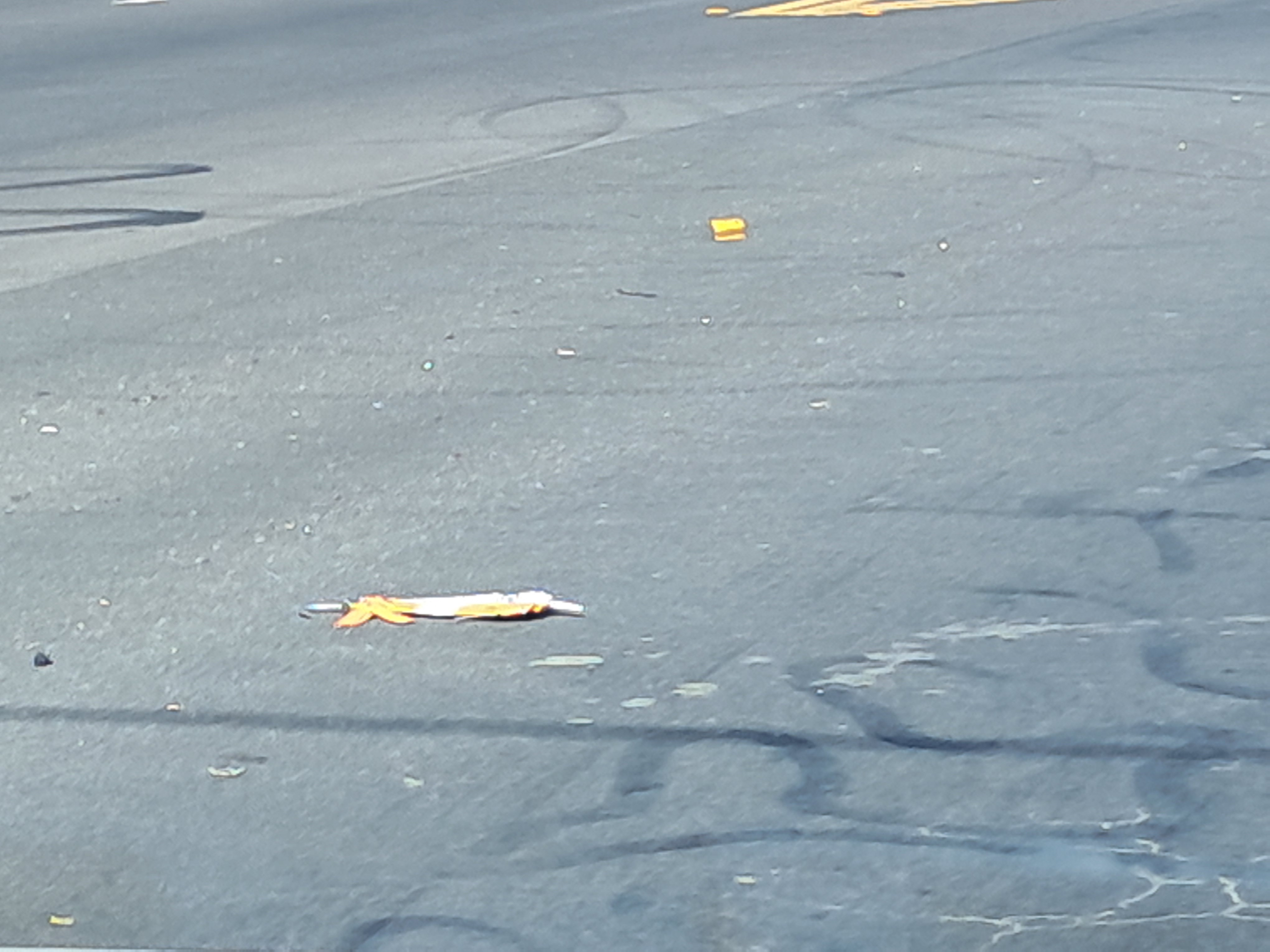 I have seen a lot of road kill but I never thought I would see or even think about the fact that caulking guns can be completely flattened too!