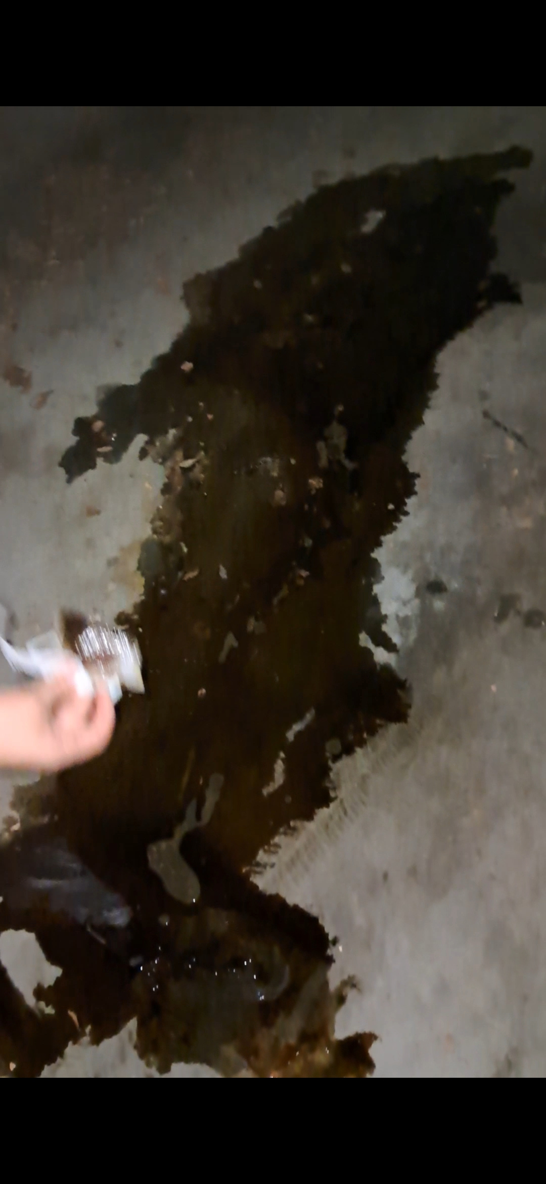 Our car is leaking!!!! We are going to get it fixed today.