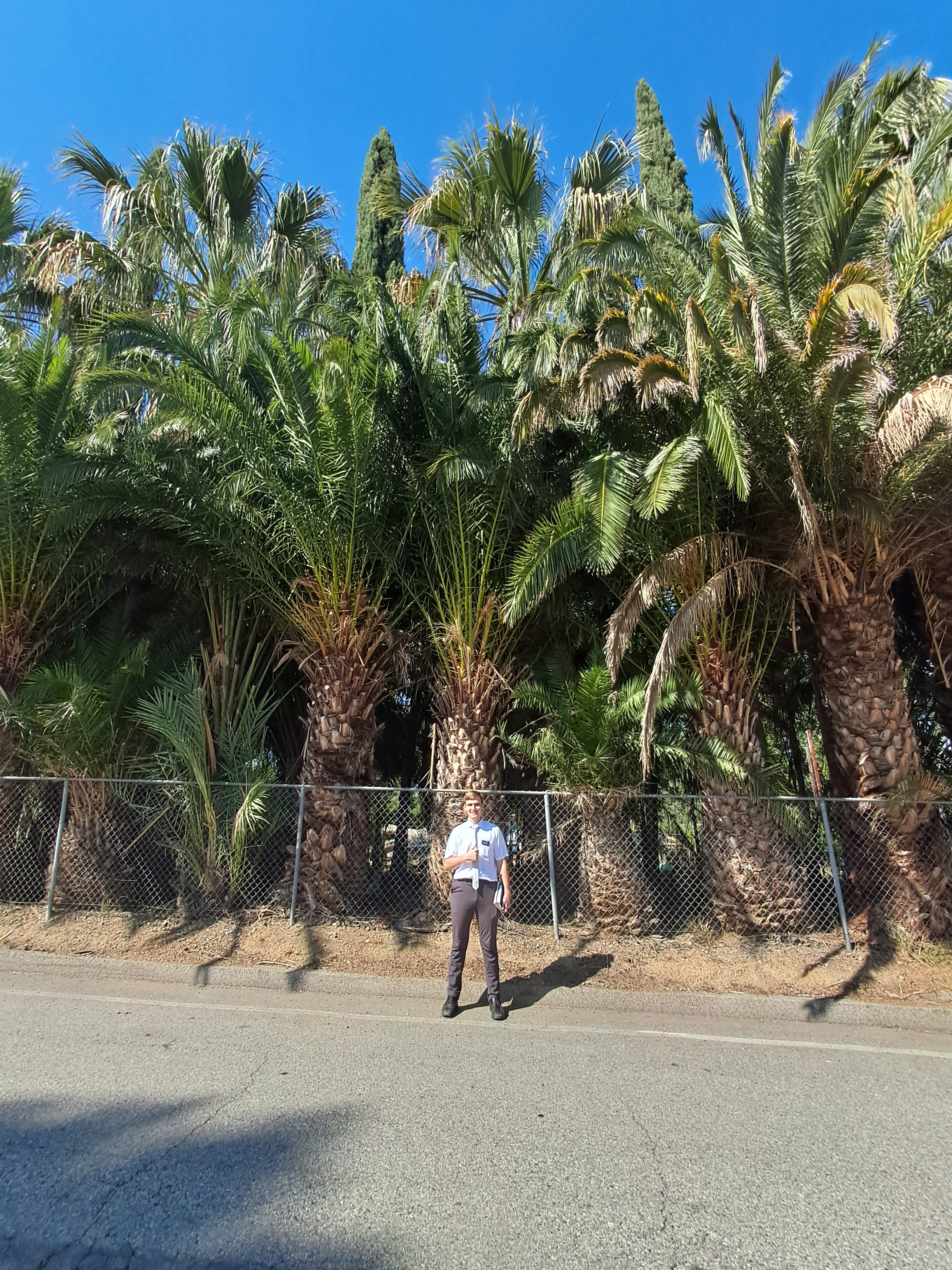 This is what I call "Palmtree lane" supposedly each tree costs $10,000 or so each. Soooo... that is a lot of money behind me