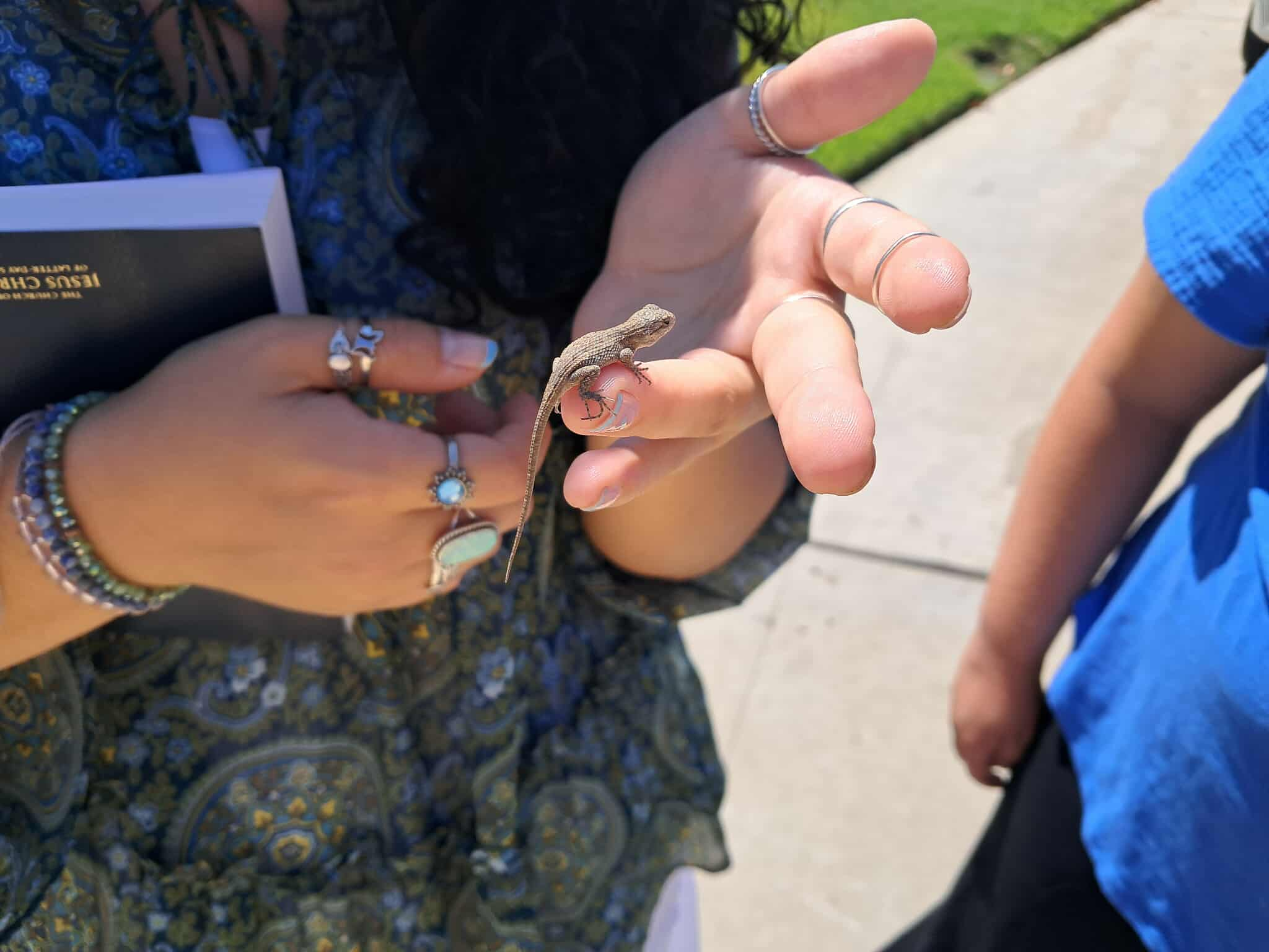 The Sisters found a little friend! I named him Squeaks.