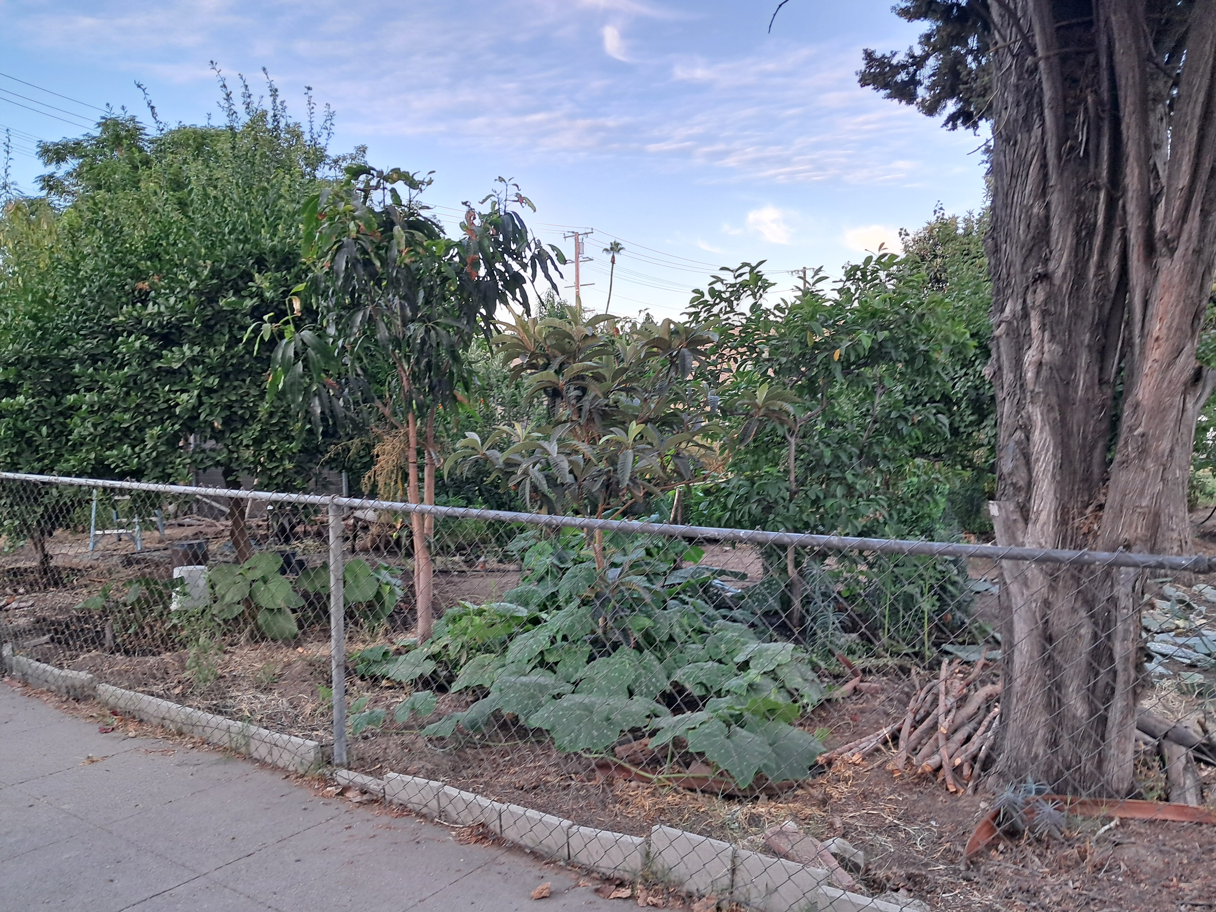 I think this person has got it figured out.