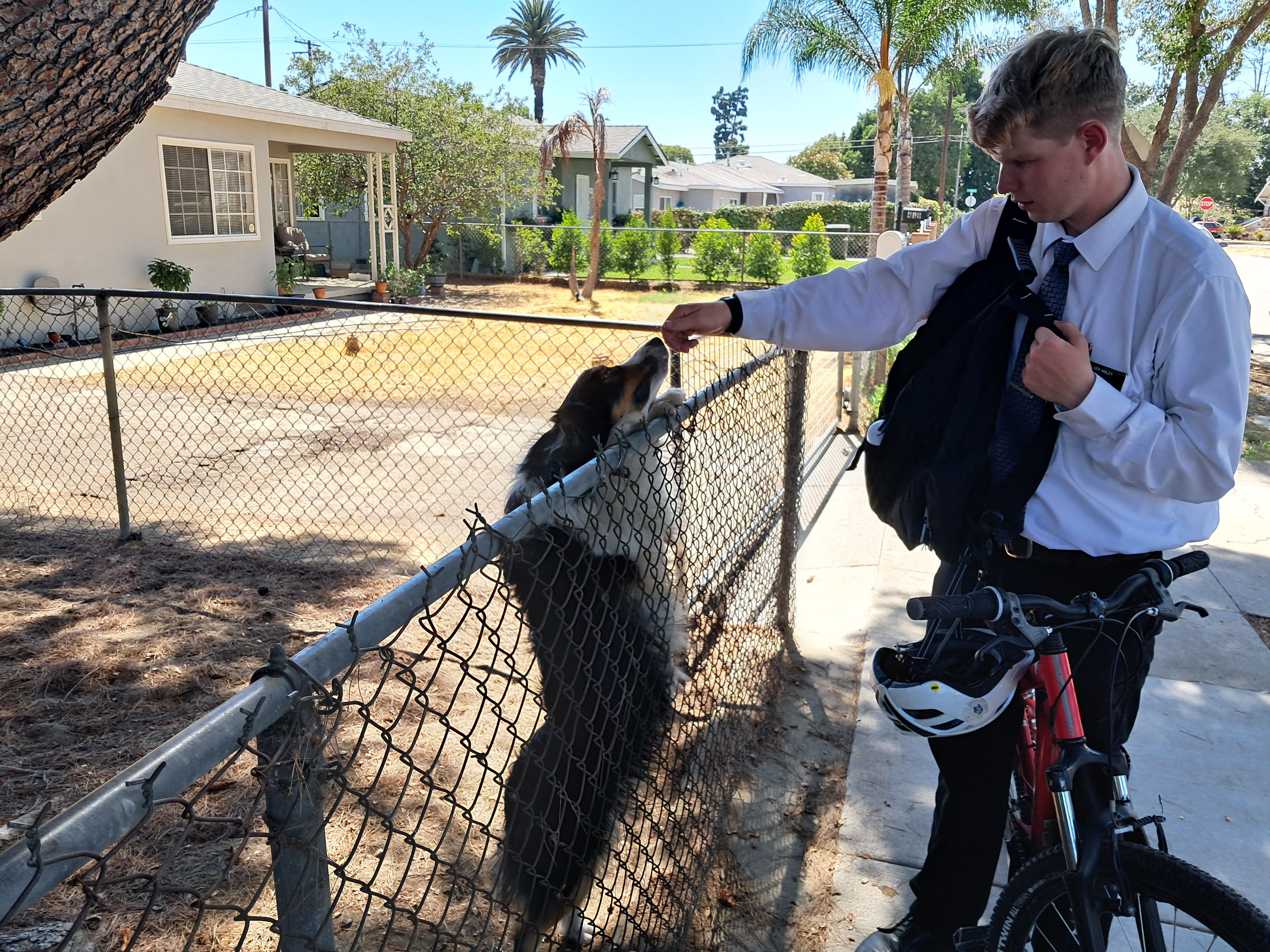 This is literally the world's nicest dog ever. We have had to actually pass through this area a couple of times and each time we do she is there waiting for us to pet her. This is always a highlight for me when we are on this street, being the animal lover that I am.