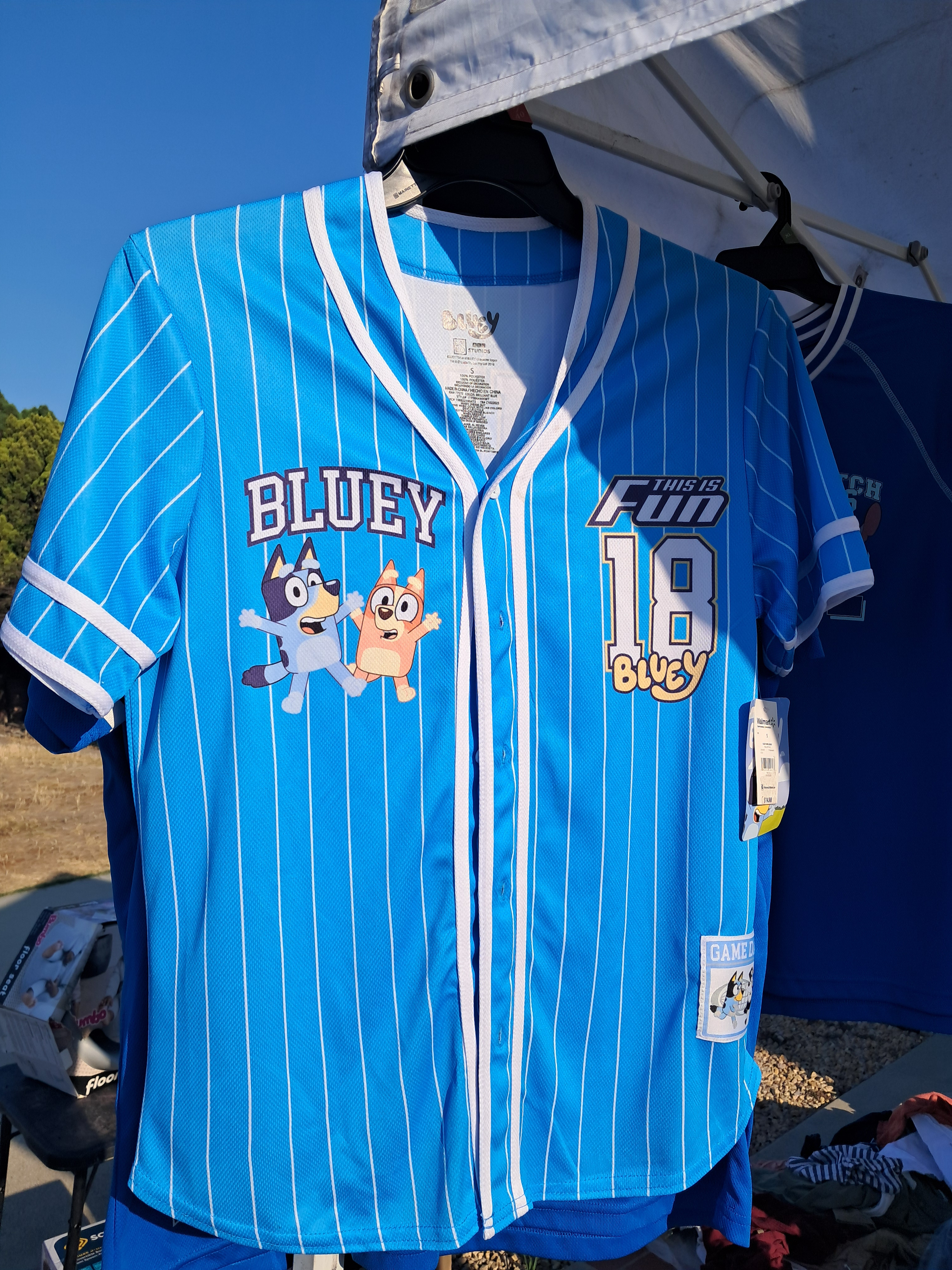 I found this at a yard sale. In this area, there is only one weekend every three months that you can legally do yard sales so all of the sudden we start seeing a ton of yard sales on every block.  We learned that as we helped one of them move some of their stuff.