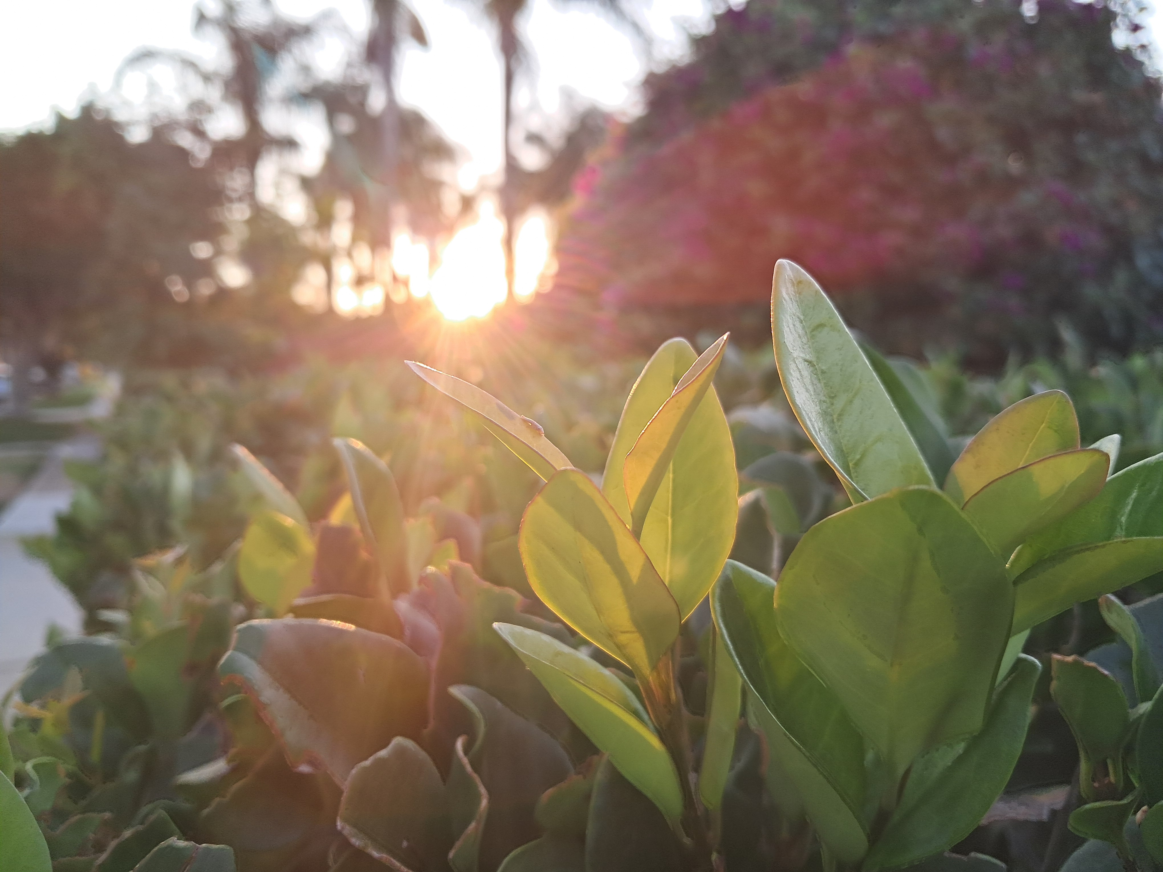 This is probably the BEST picture I have gotten on the mission!