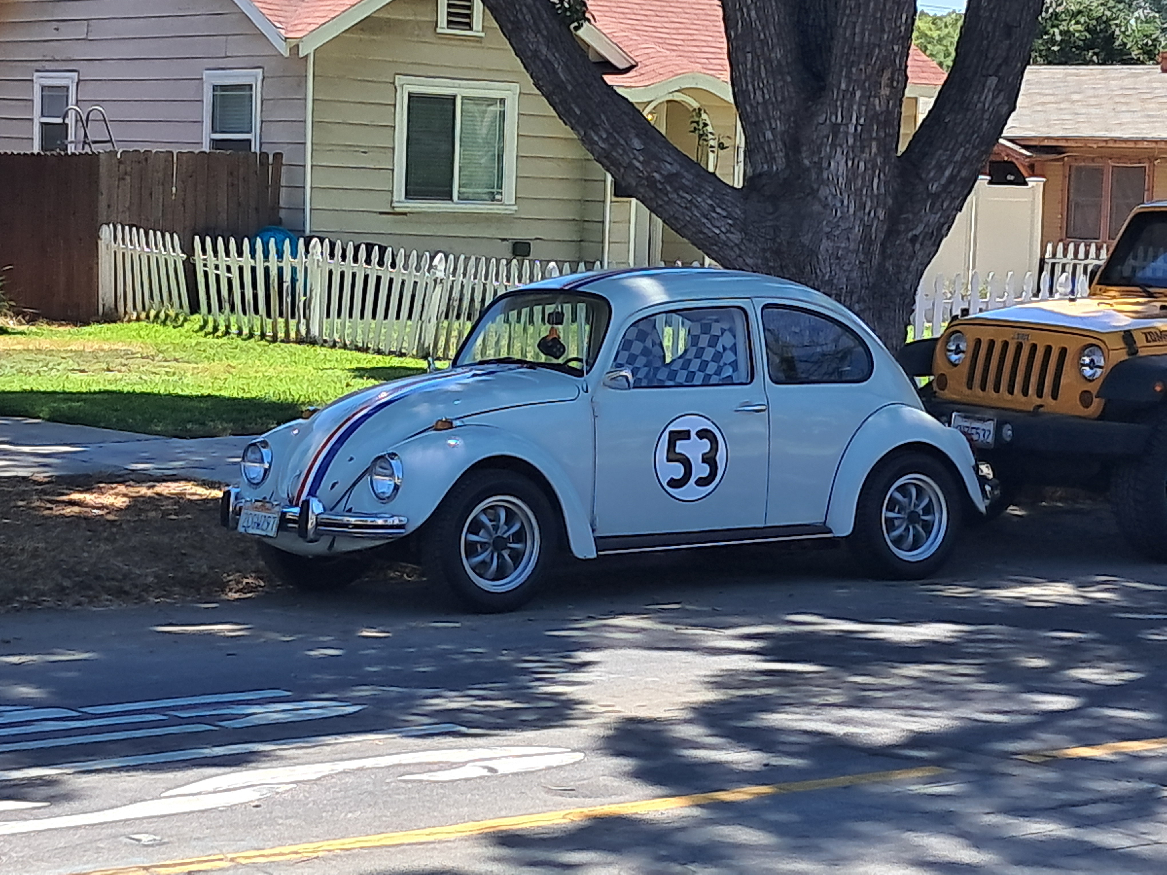 Herbie
