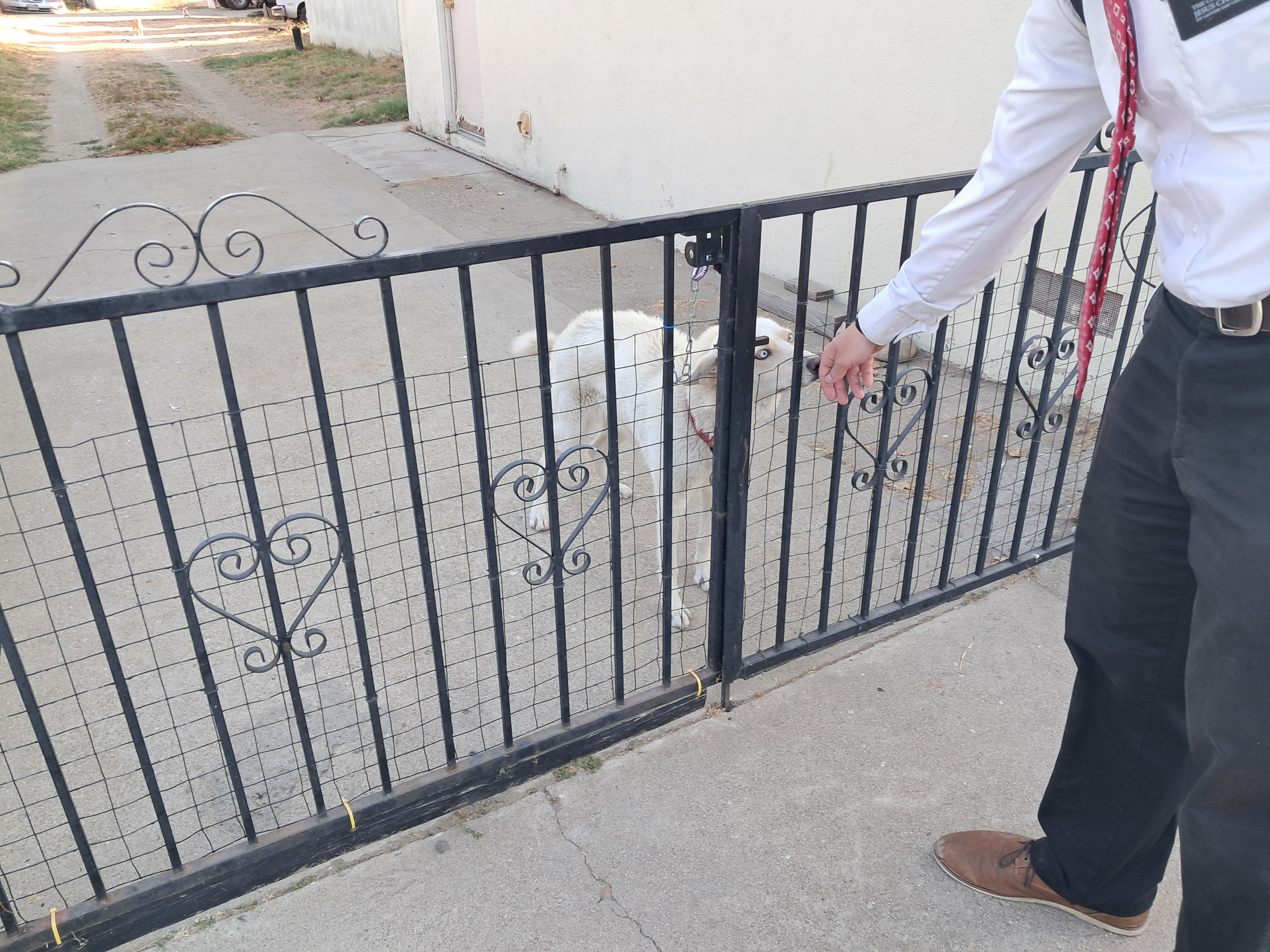 This is Blanca. She is really friendly and let me pet her when I was having a bad day.