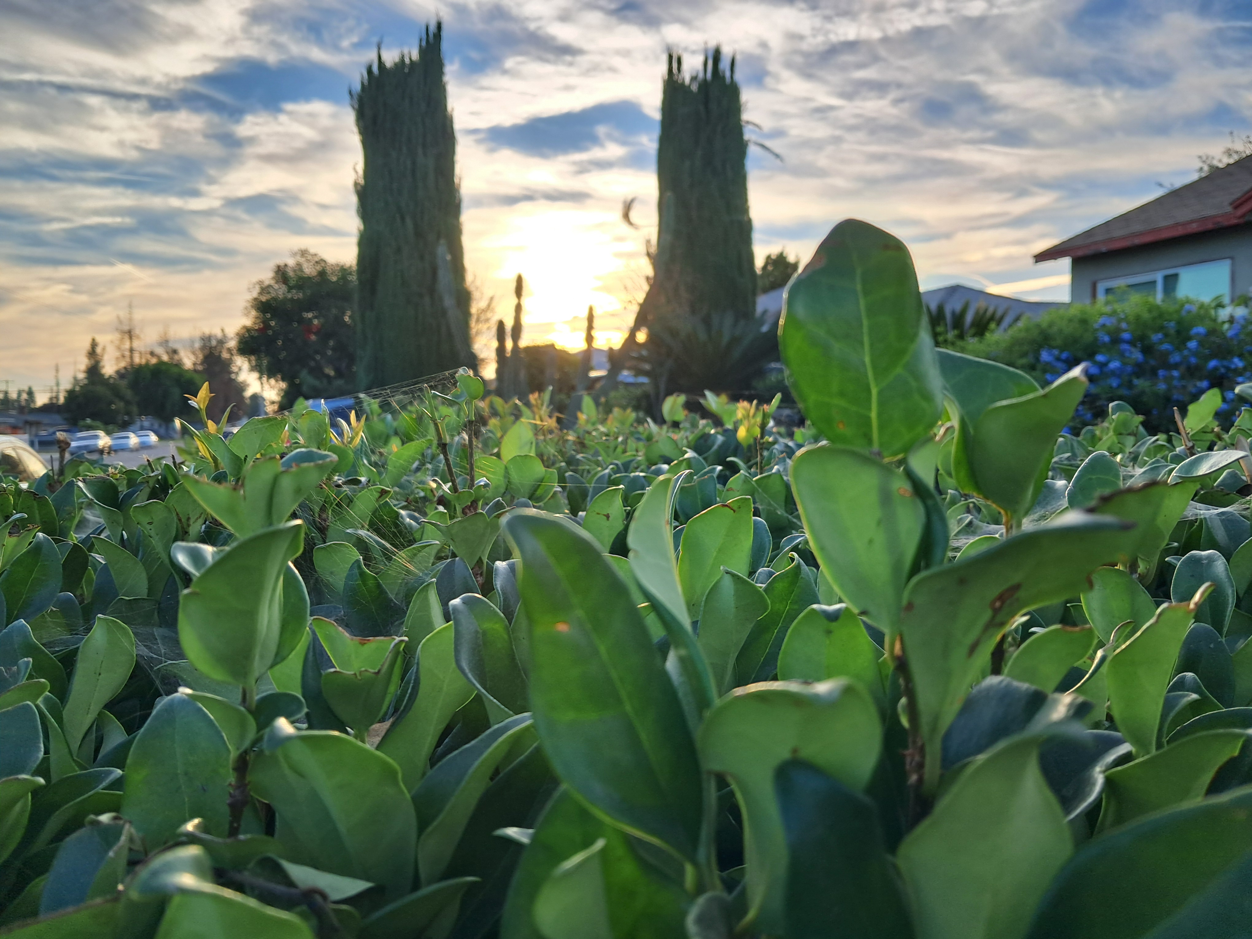 This one is pretty good as well.