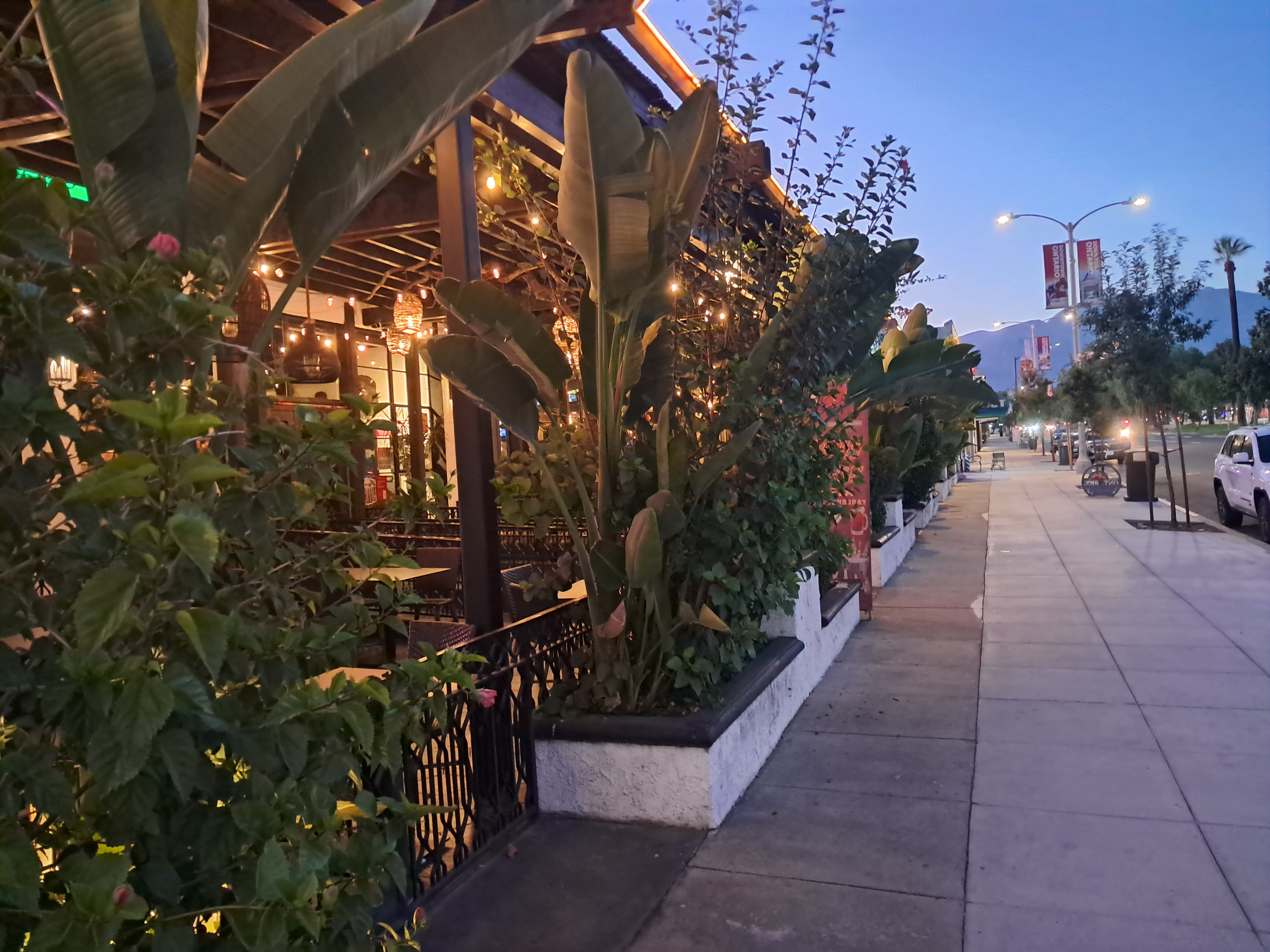 This... is a restaurant