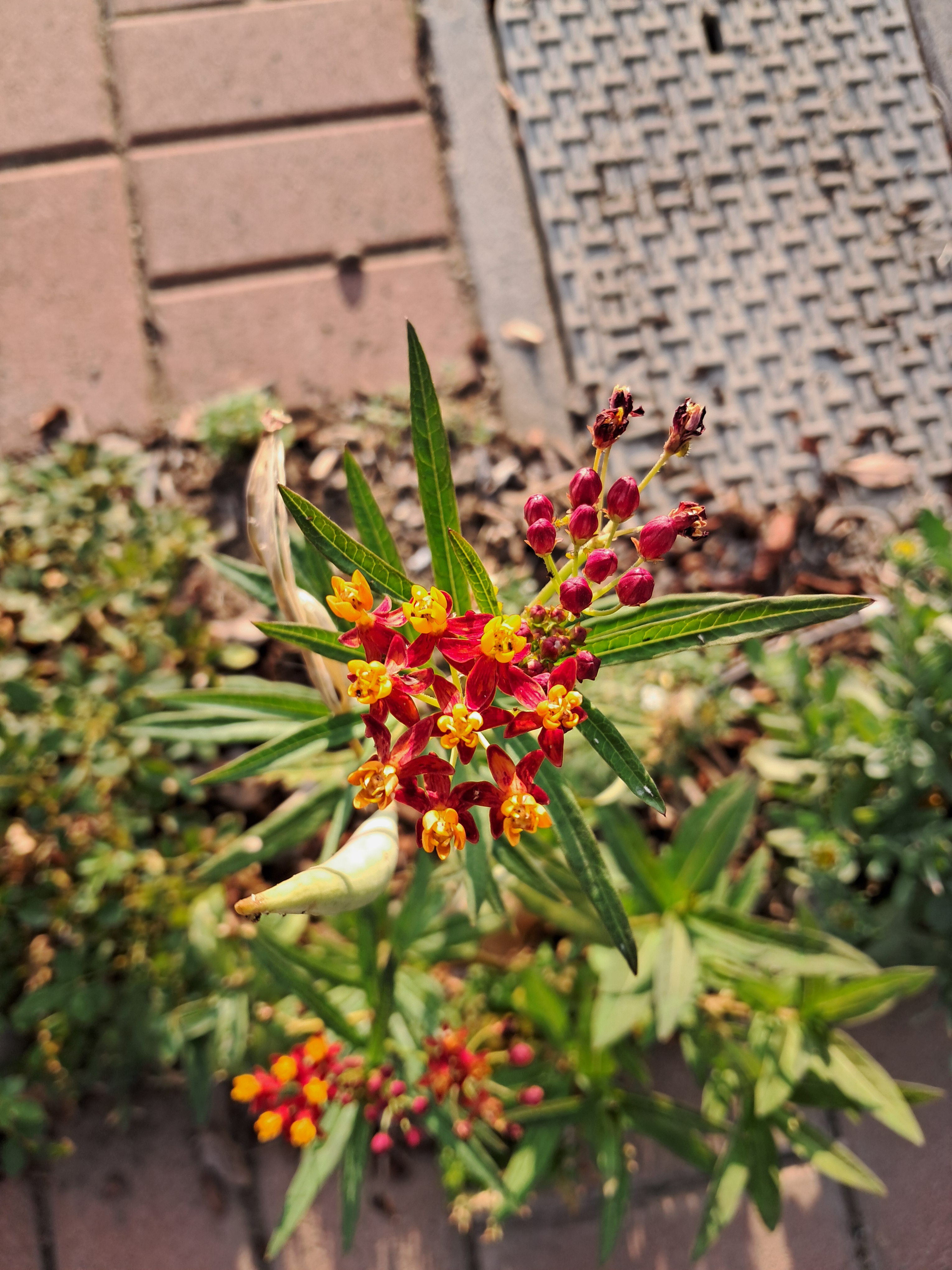 THIS is probably the best picture I have gotten on the mission.