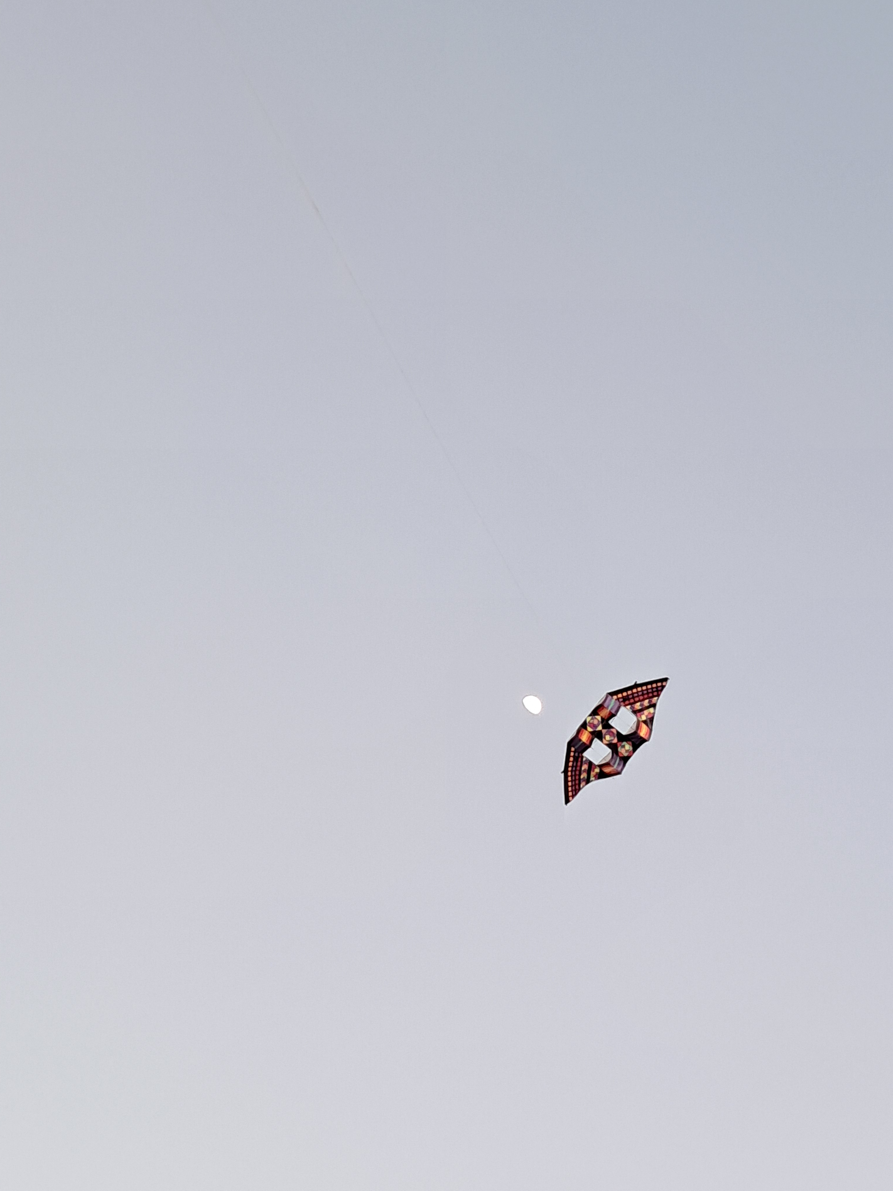 We also stopped by a man who flies kites. Like big 9 foot kites. We talked for a little while and we both got to fly the kite. So cool!