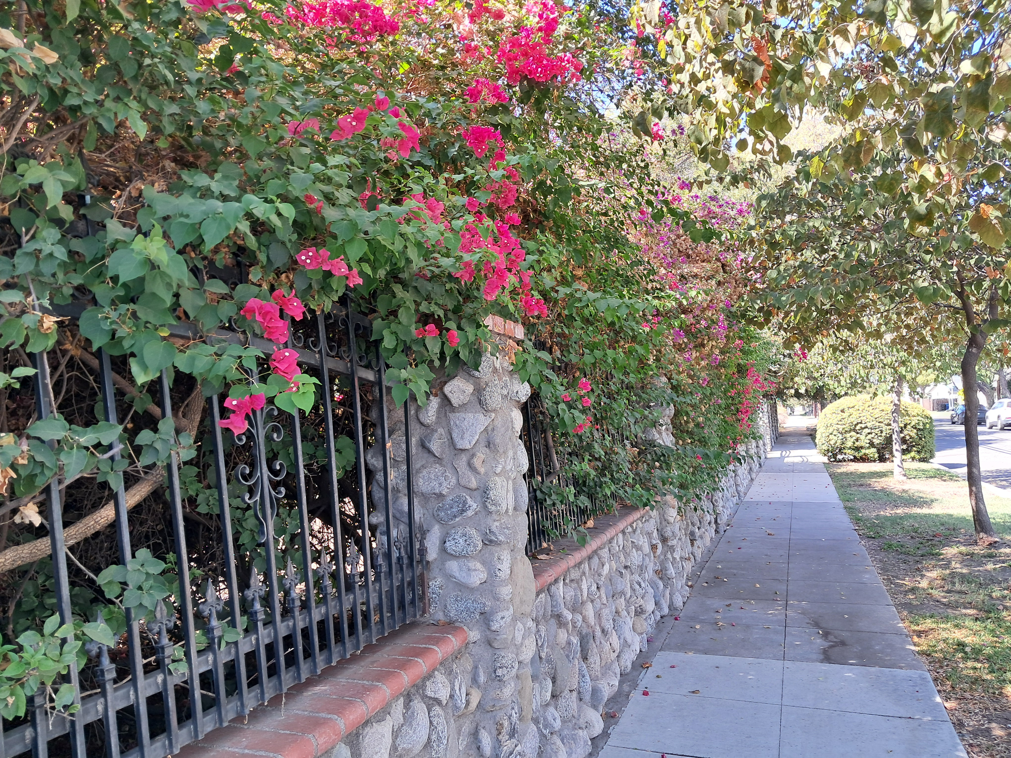 A cool walkway in the old part of town.