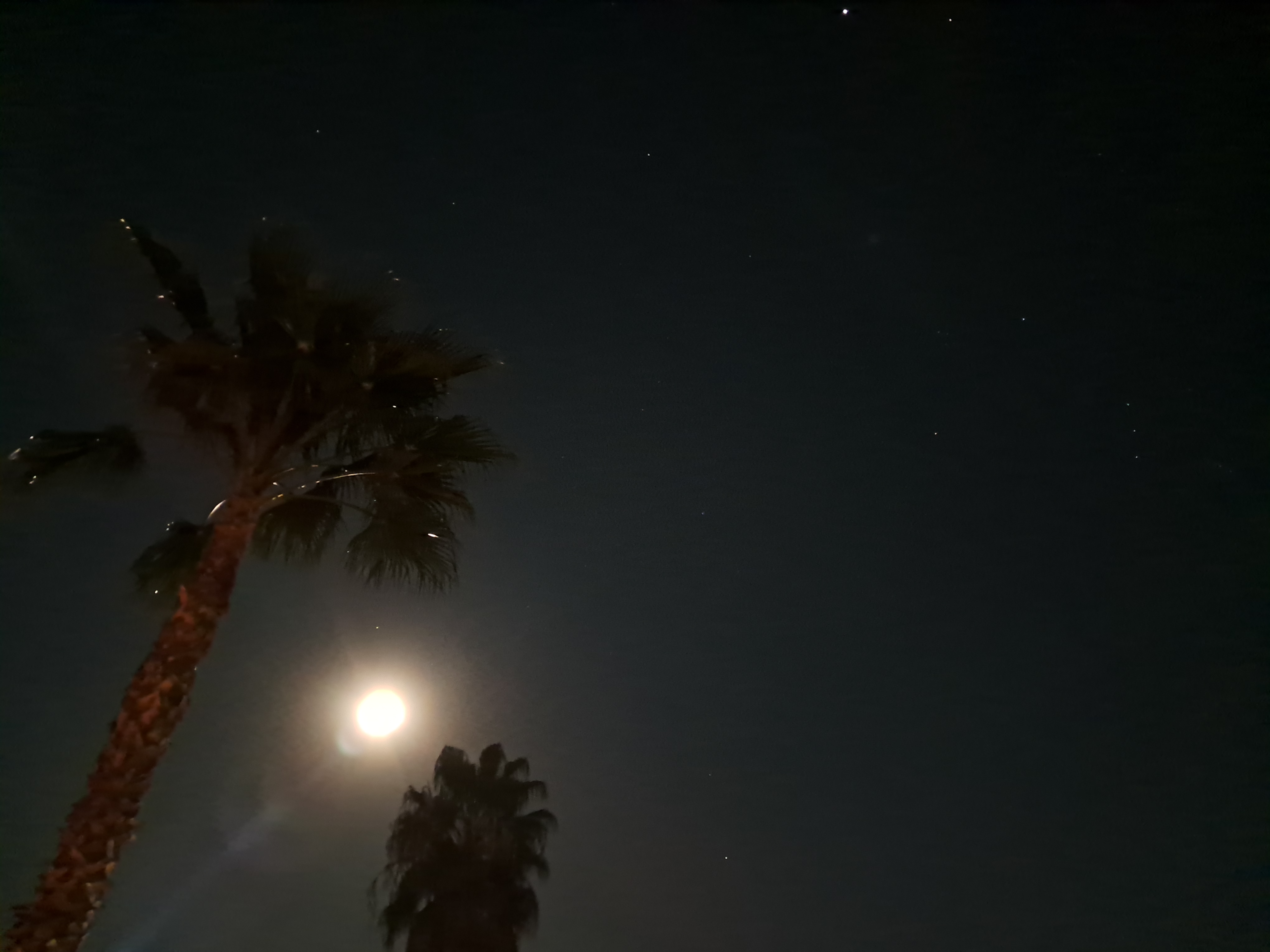 Most legendary night picture. EVER!!!