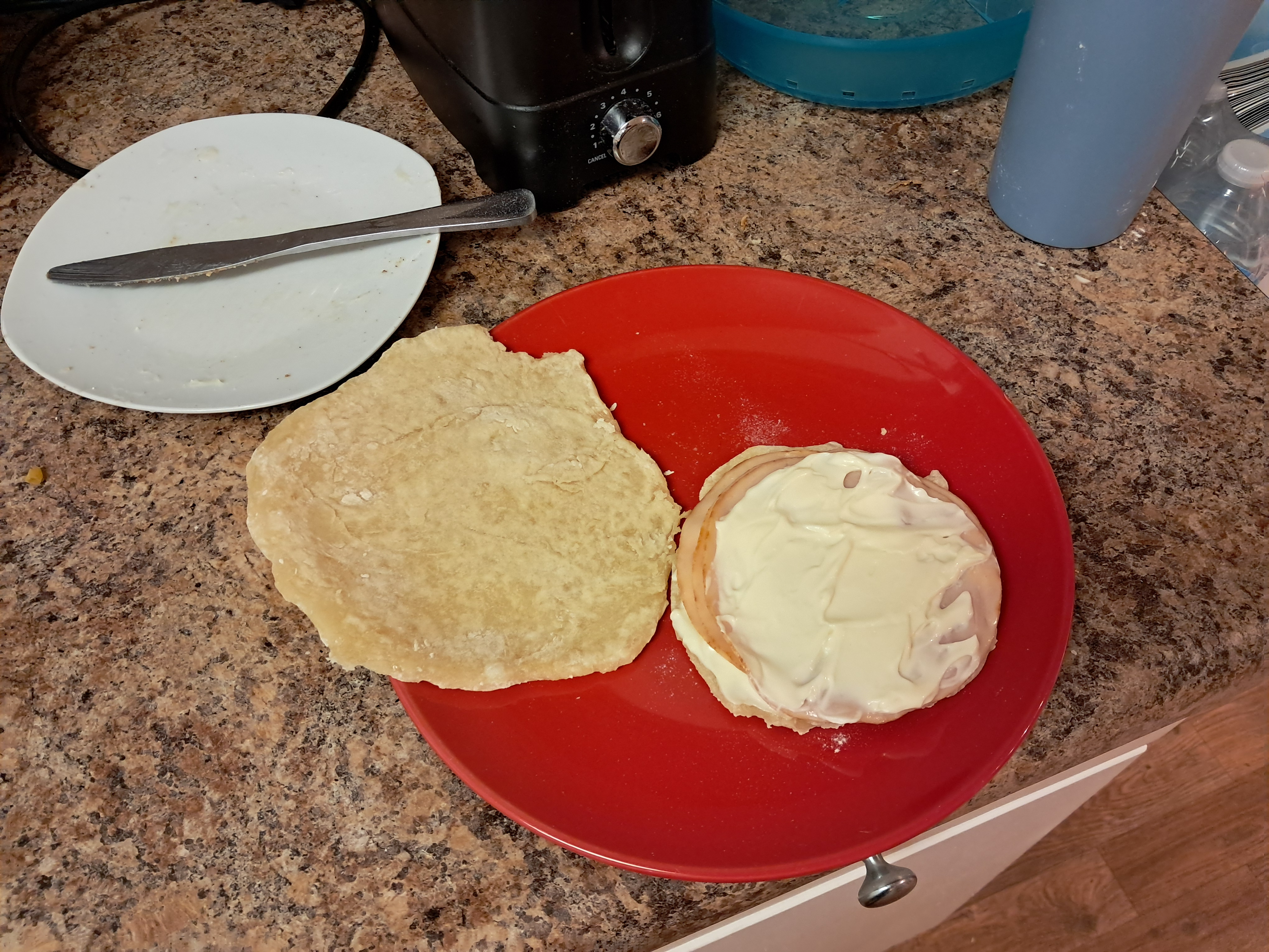 I made myself a tortilla from scratch! It was so good! What I had with it was okay.